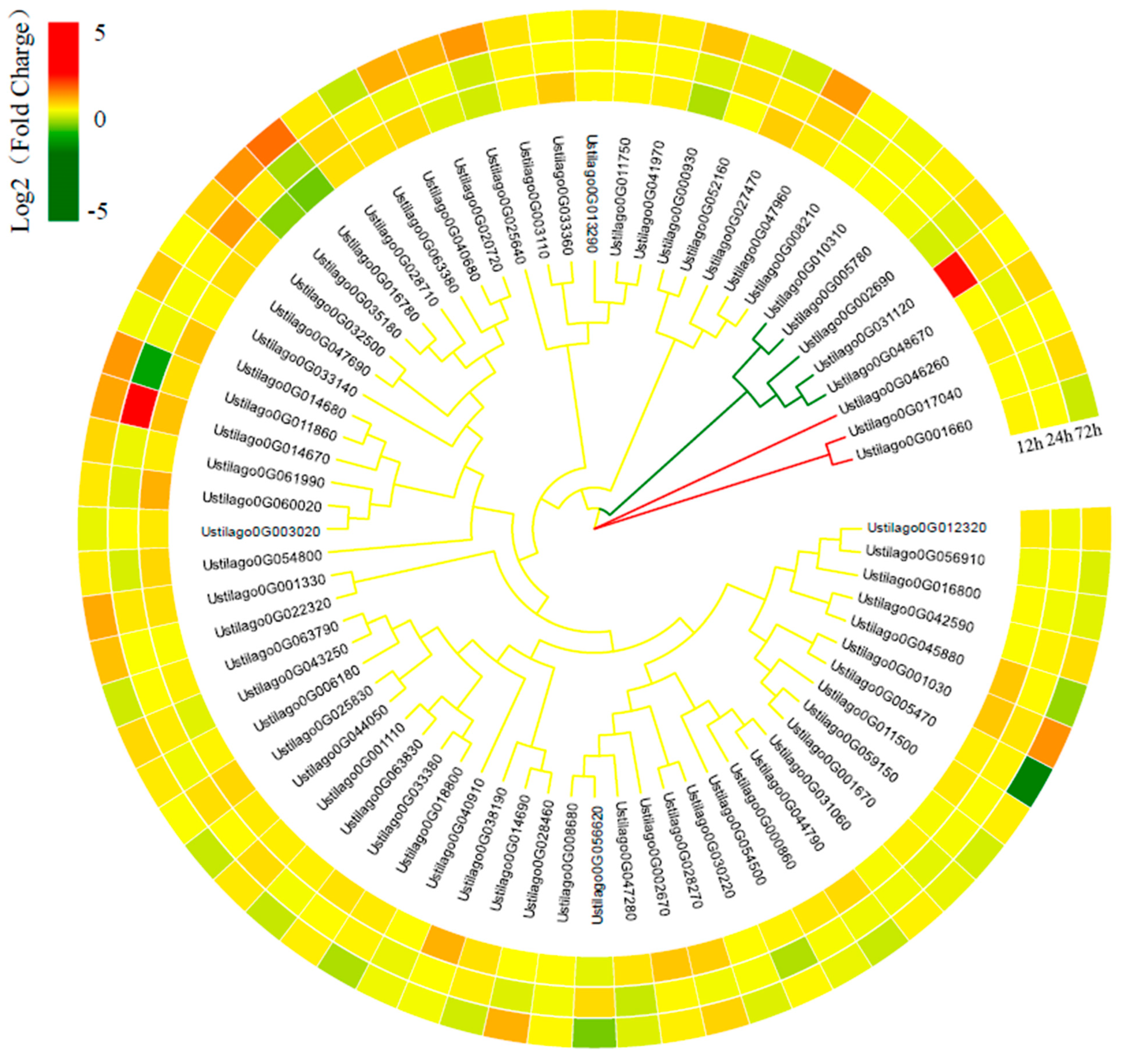 Jof 10 00082 g006 Jof 10 00082 g006
