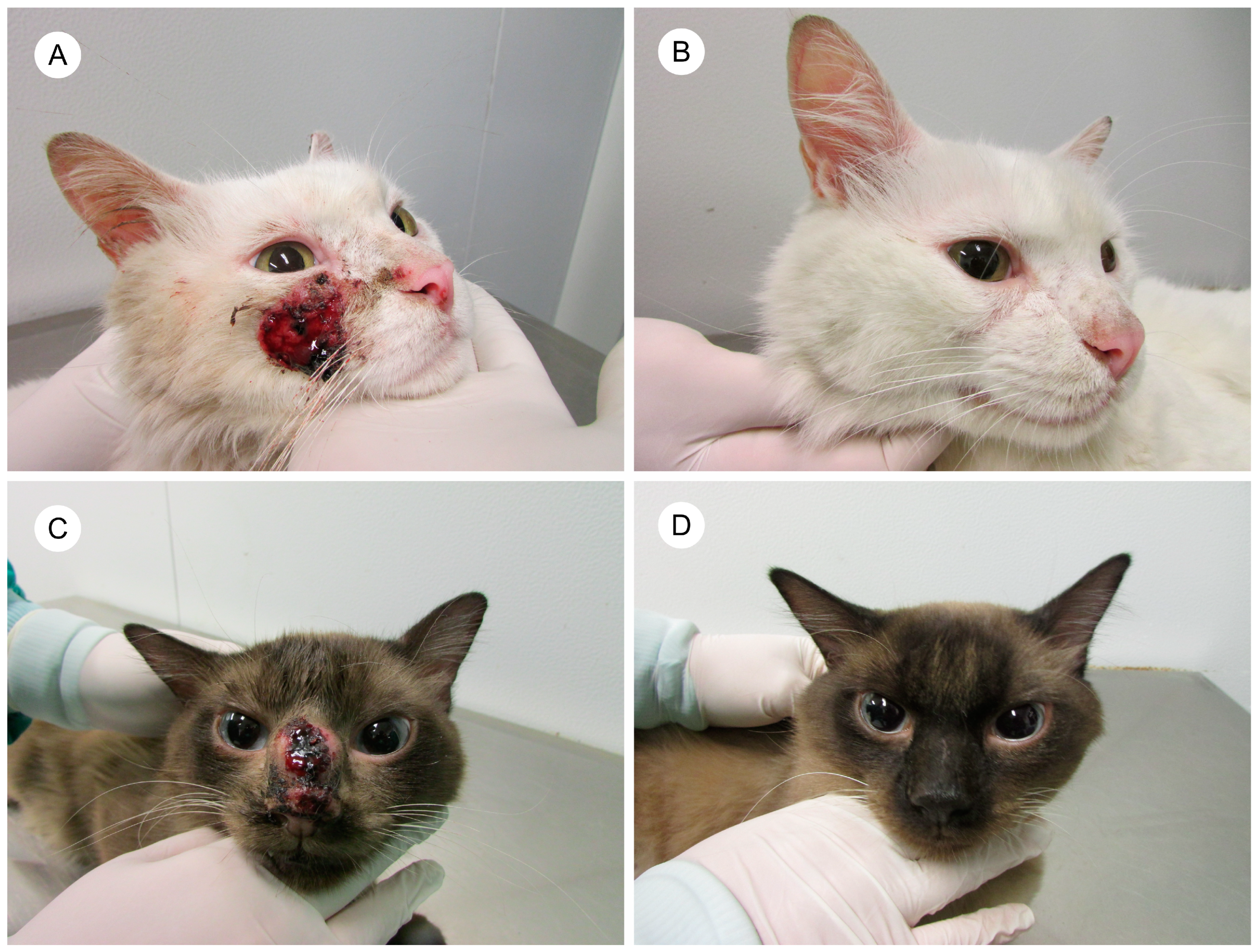 Jof 10 00101 g003 Jof 10 00101 g003