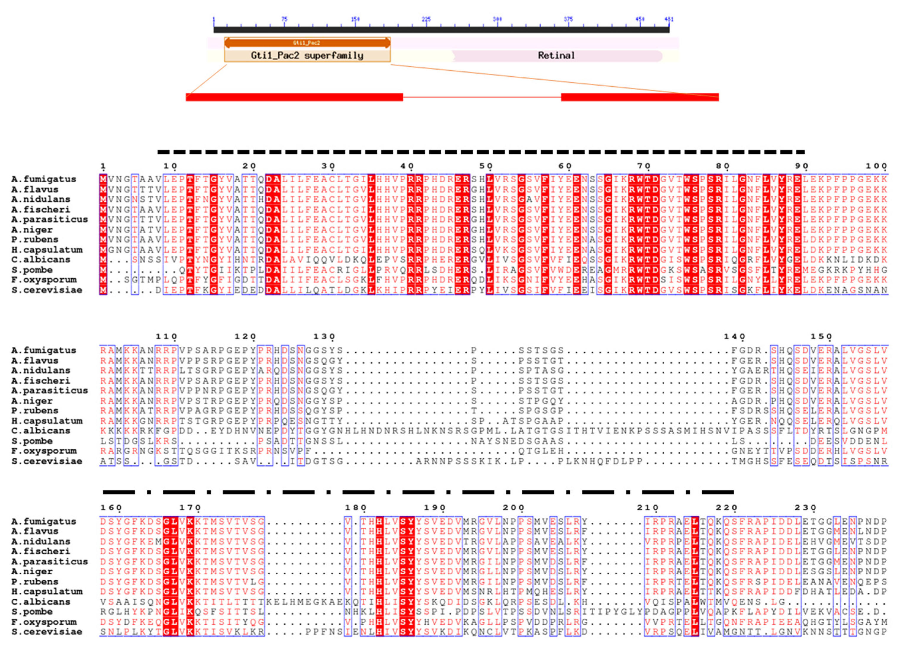 Jof 10 00103 g001 Jof 10 00103 g001