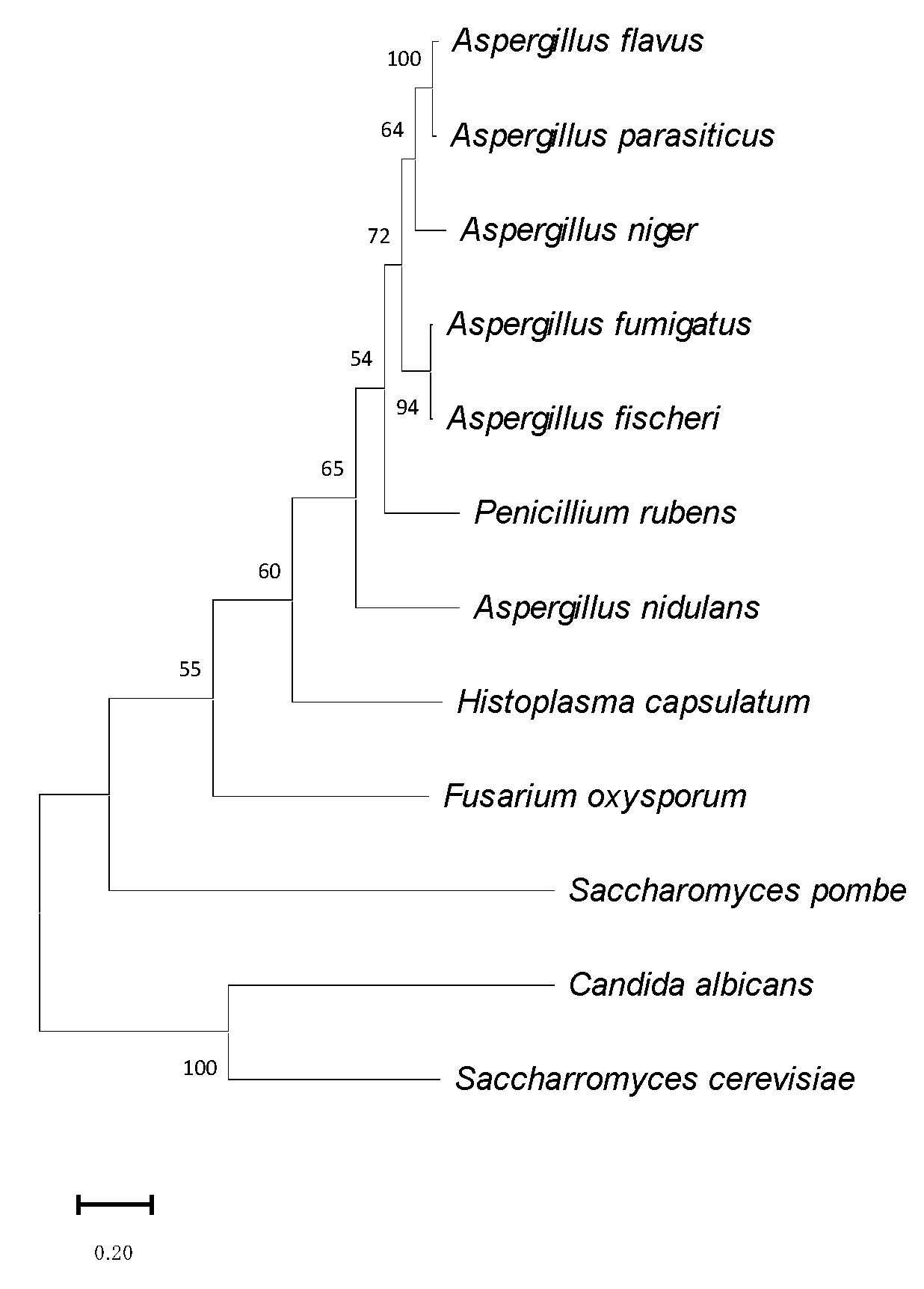 Jof 10 00103 g002 Jof 10 00103 g002