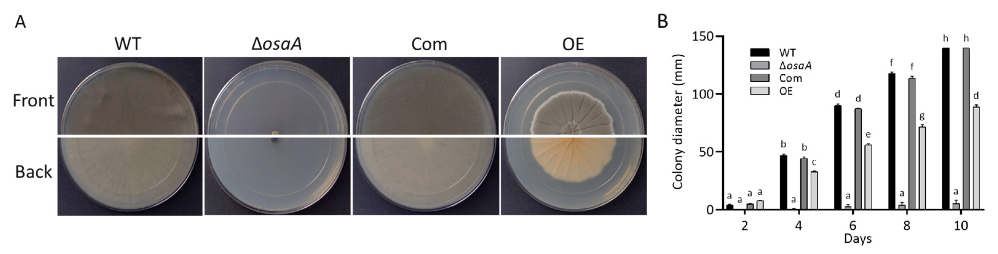 Jof 10 00103 g003 Jof 10 00103 g003