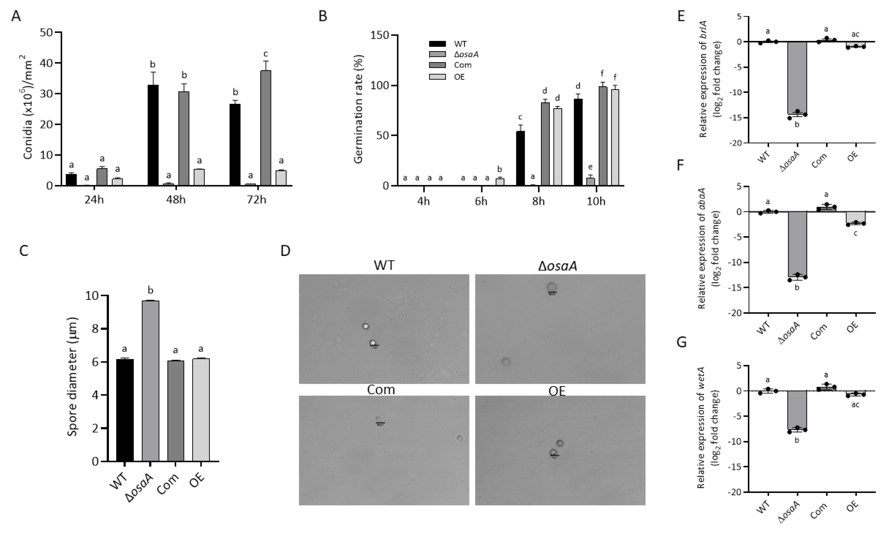 Jof 10 00103 g004 Jof 10 00103 g004