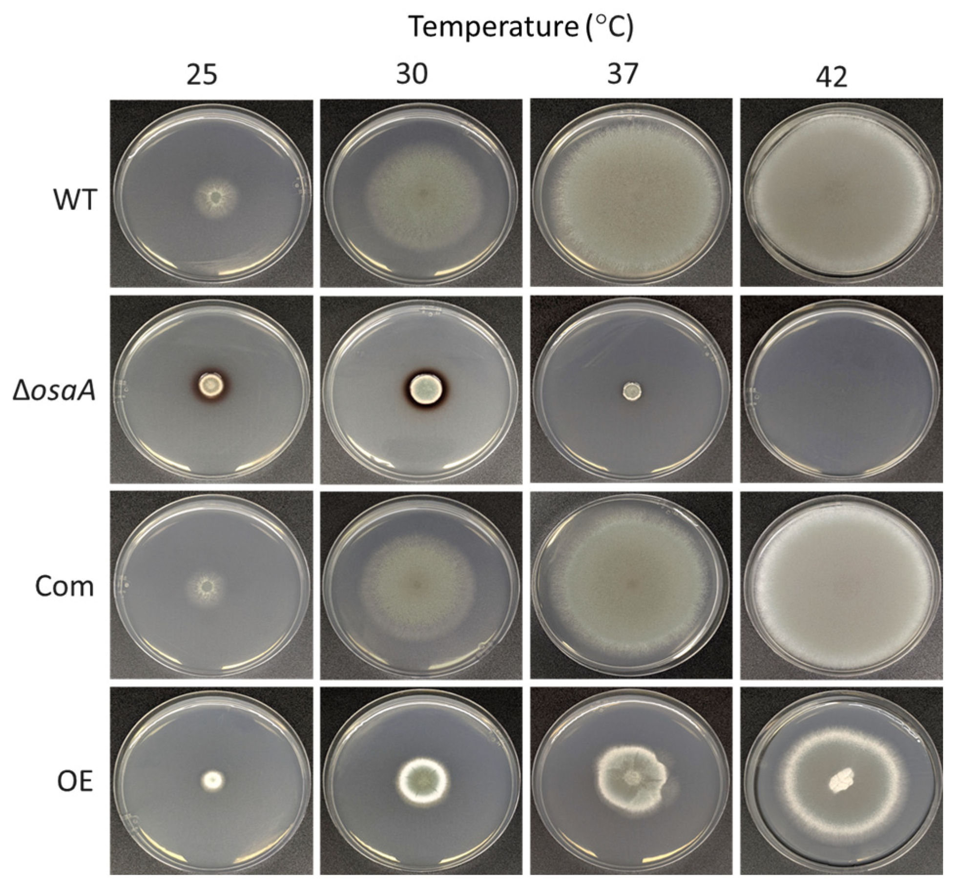Jof 10 00103 g005 Jof 10 00103 g005