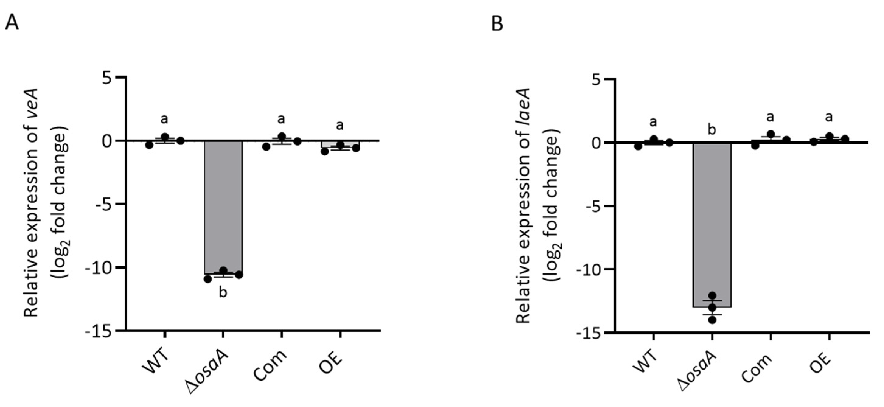 Jof 10 00103 g009 Jof 10 00103 g009