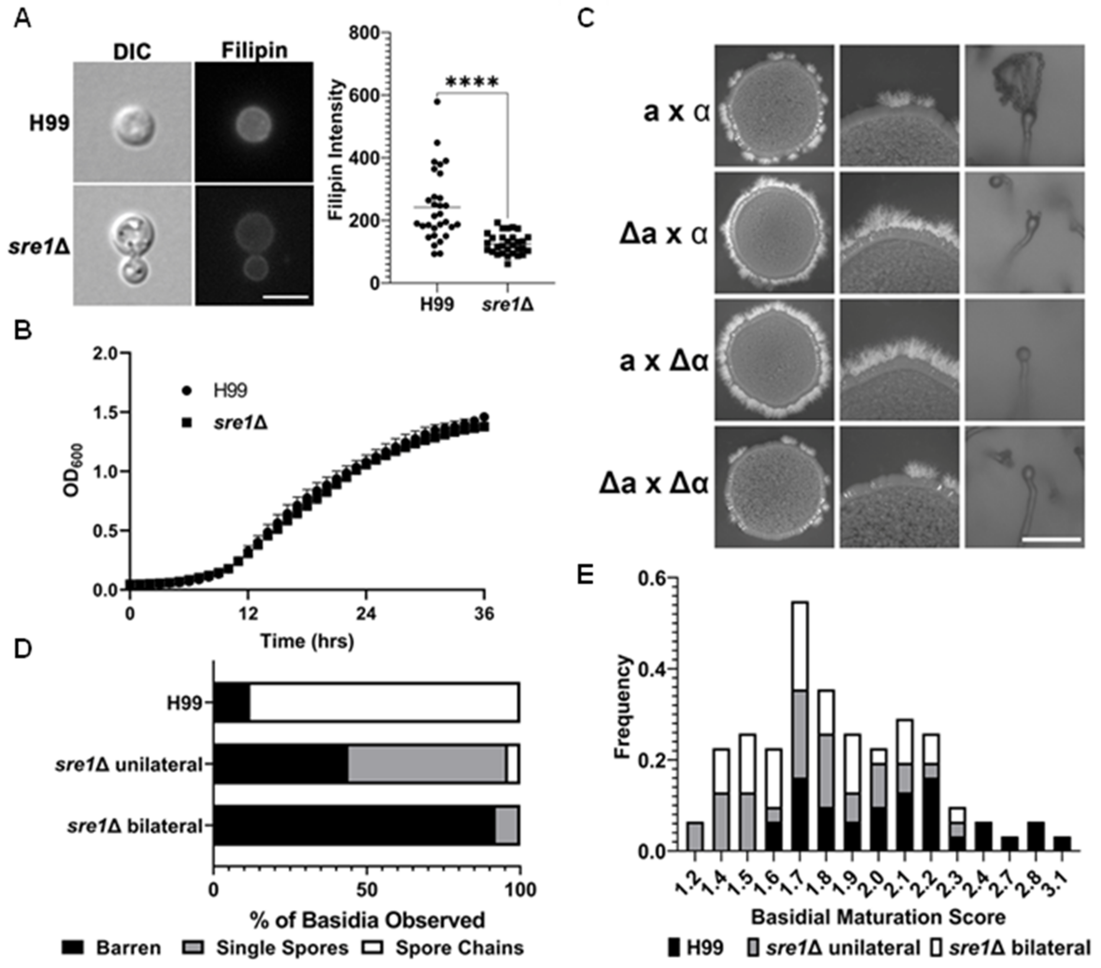 Jof 10 00106 g002 Jof 10 00106 g002