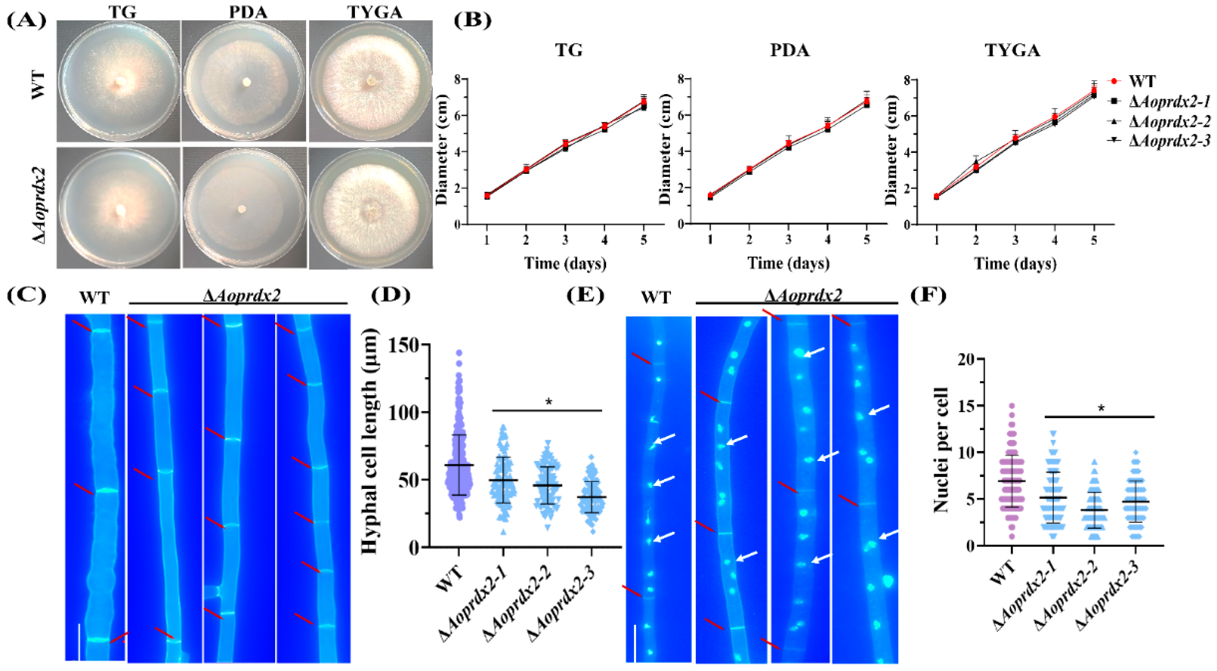 Jof 10 00110 g001 Jof 10 00110 g001