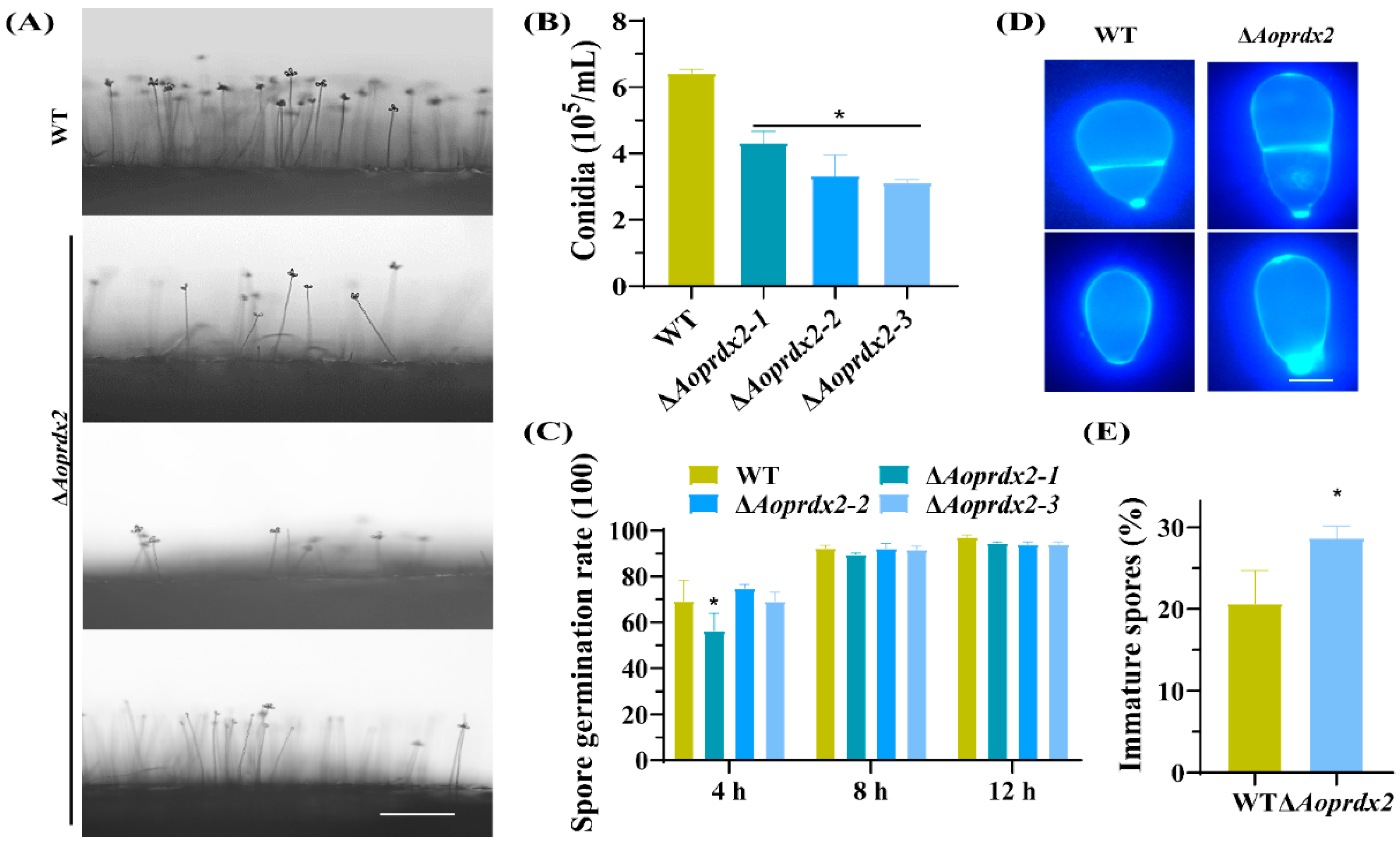 Jof 10 00110 g003 Jof 10 00110 g003