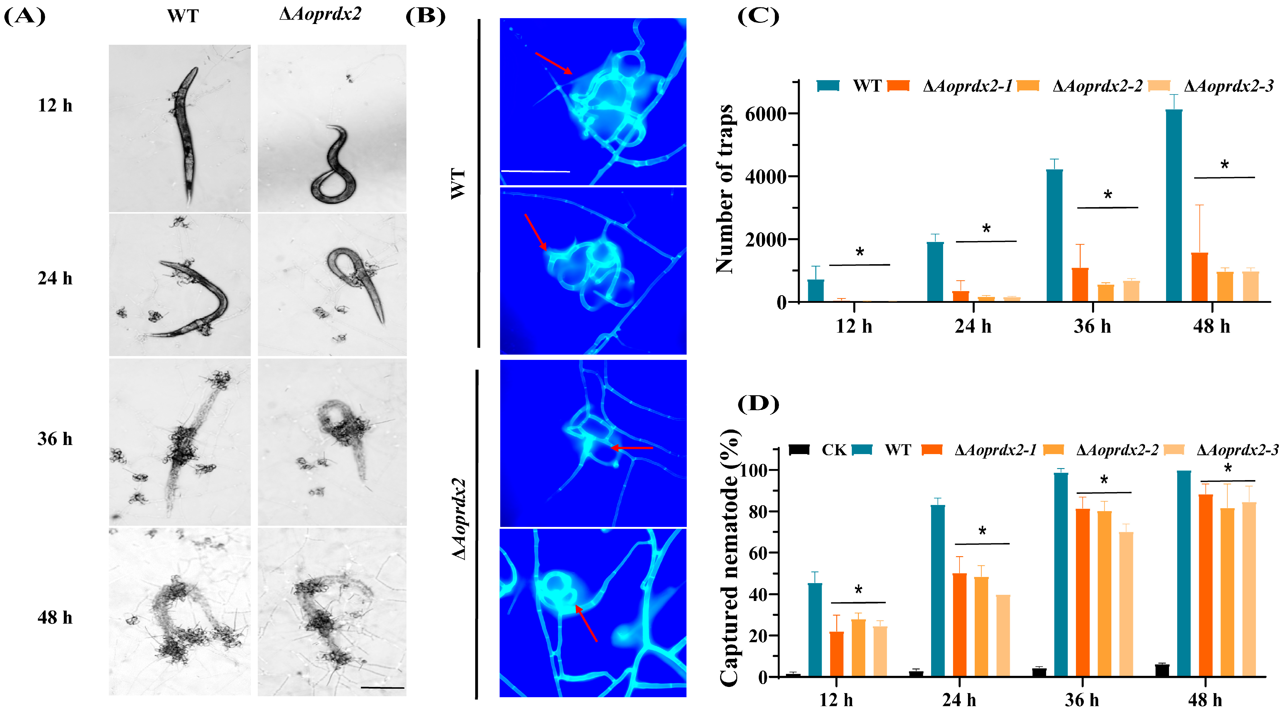 Jof 10 00110 g004 Jof 10 00110 g004