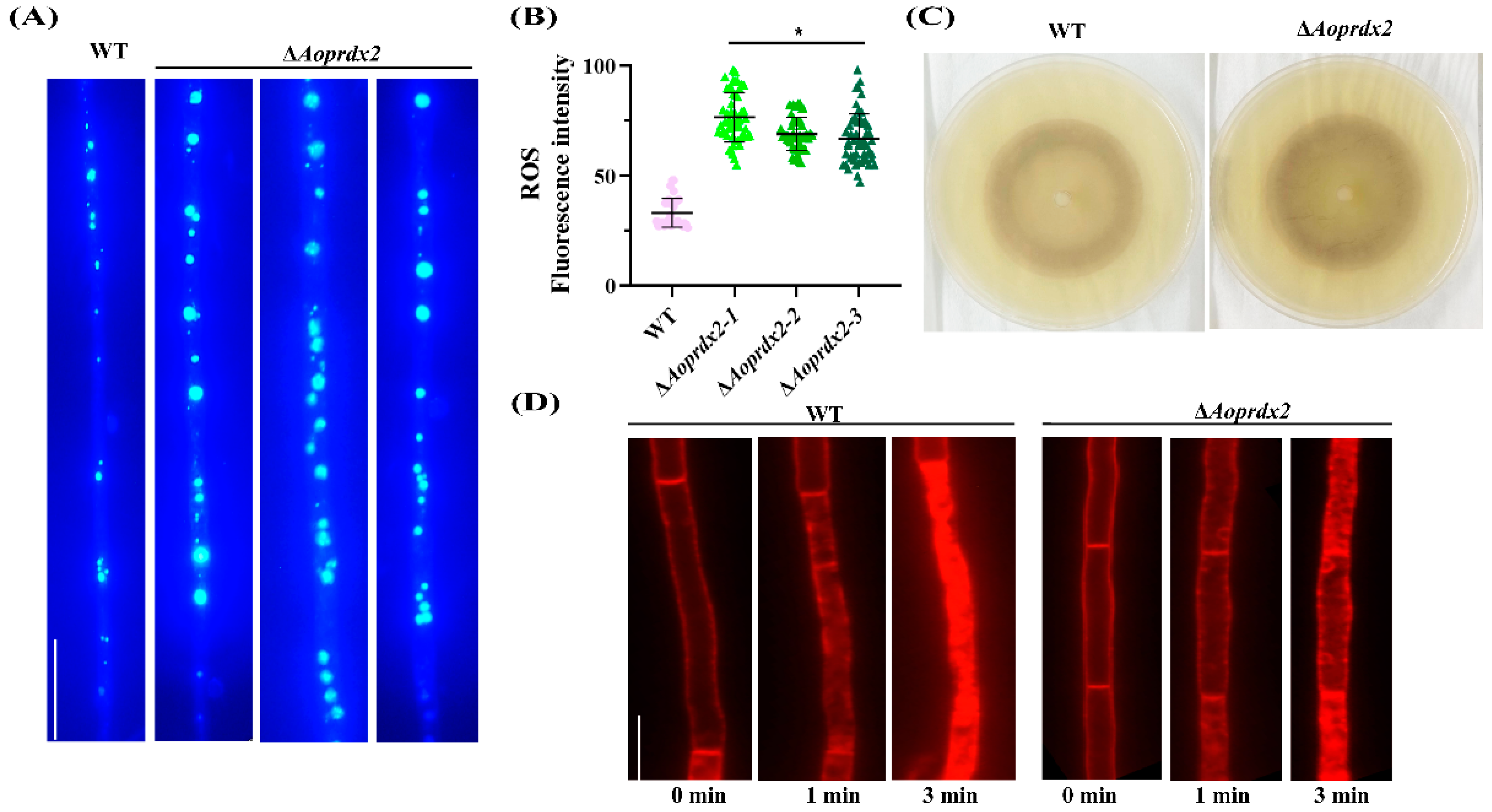 Jof 10 00110 g005 Jof 10 00110 g005