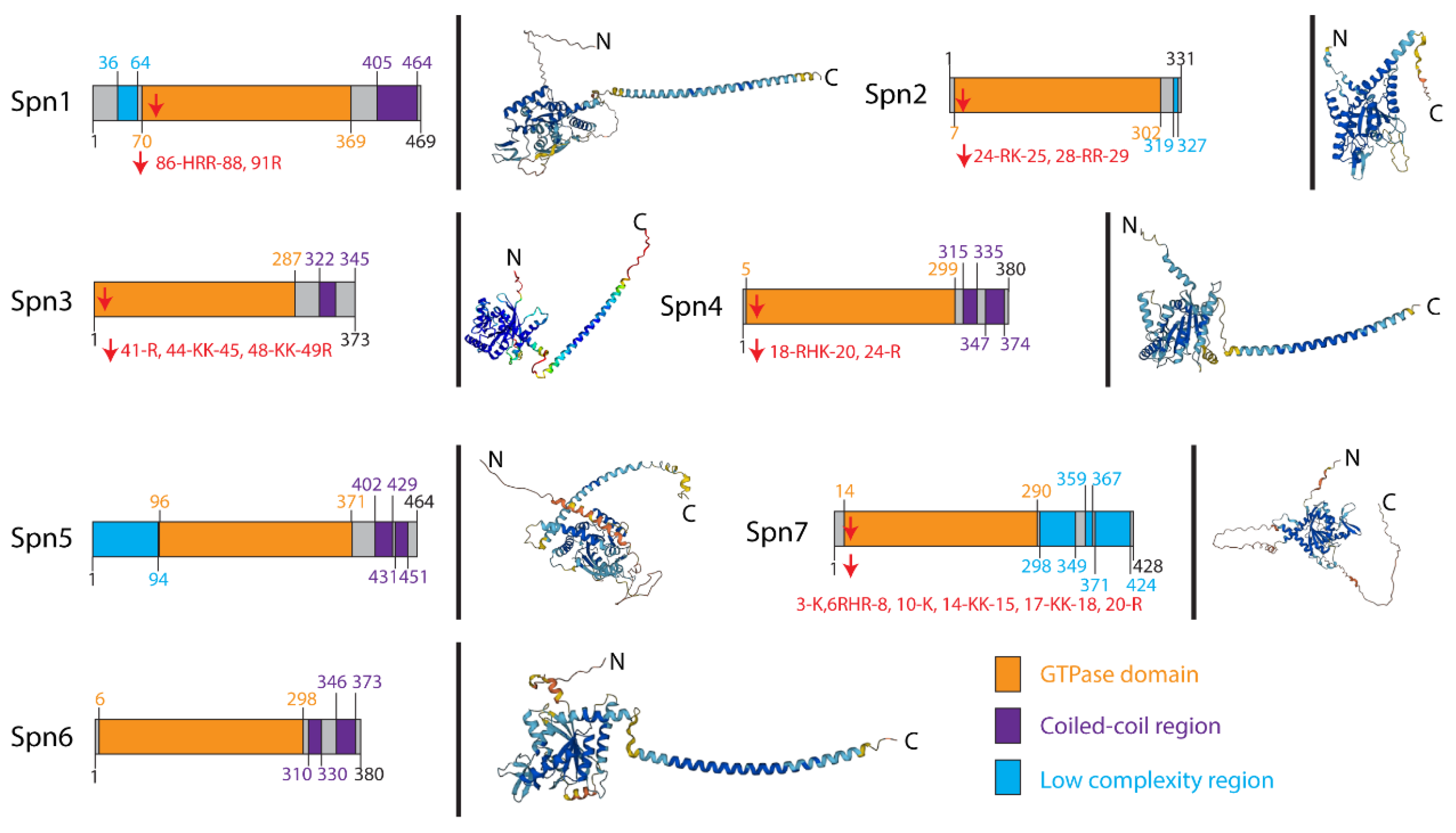 Jof 10 00115 g001 Jof 10 00115 g001
