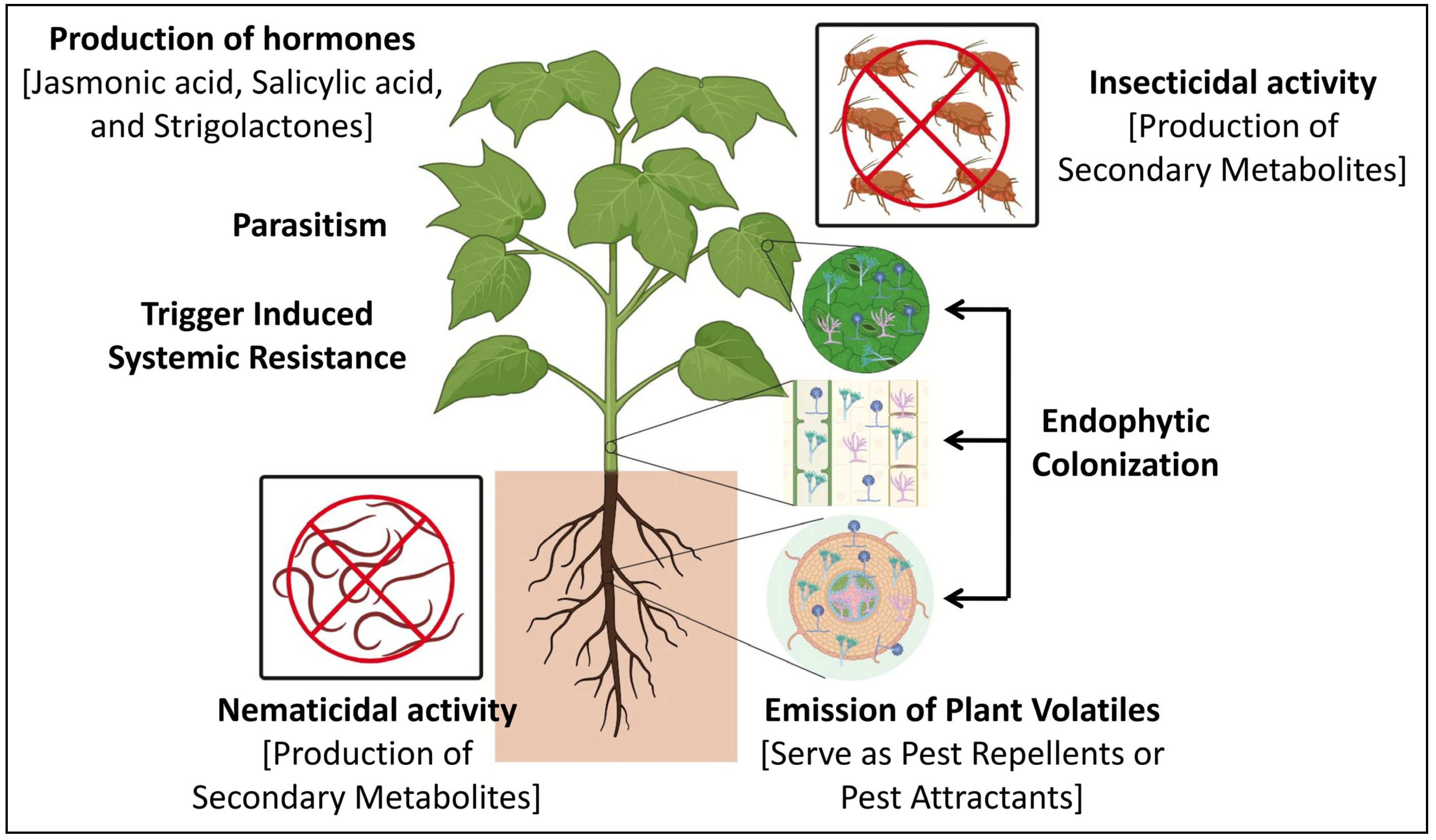 Jof 10 00116 g002 Jof 10 00116 g002