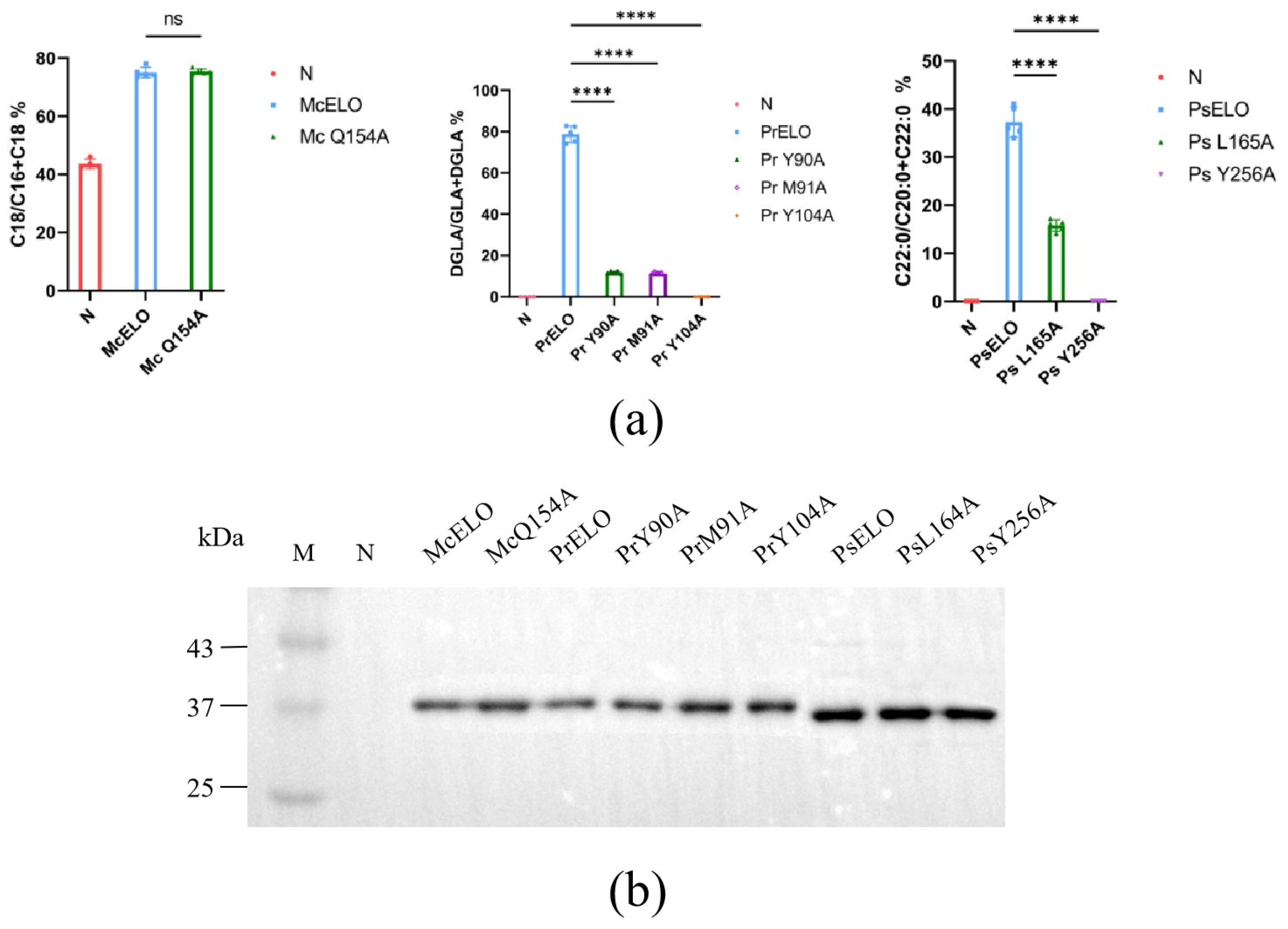 Jof 10 00129 g003 Jof 10 00129 g003