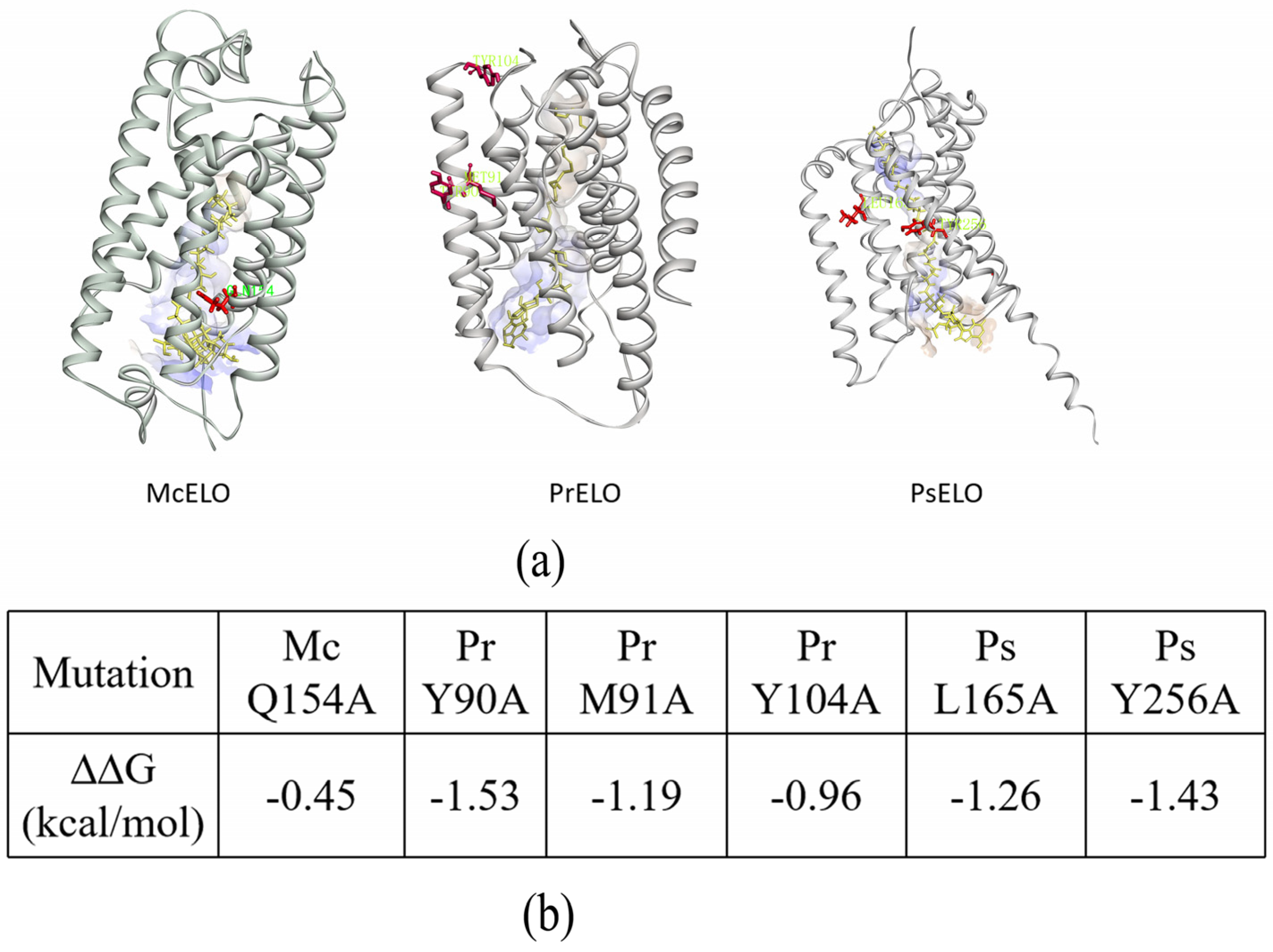 Jof 10 00129 g004 Jof 10 00129 g004