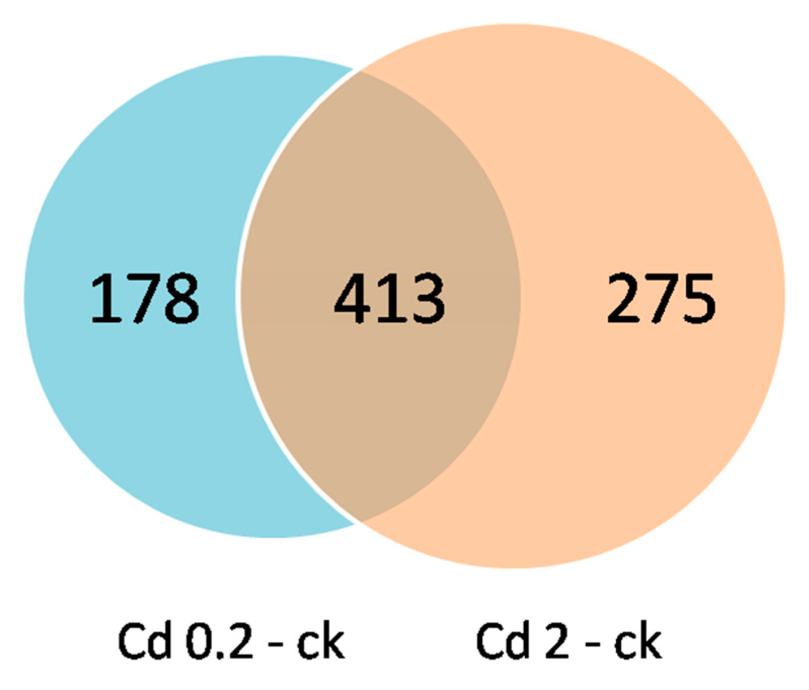 Jof 10 00134 g006 Jof 10 00134 g006