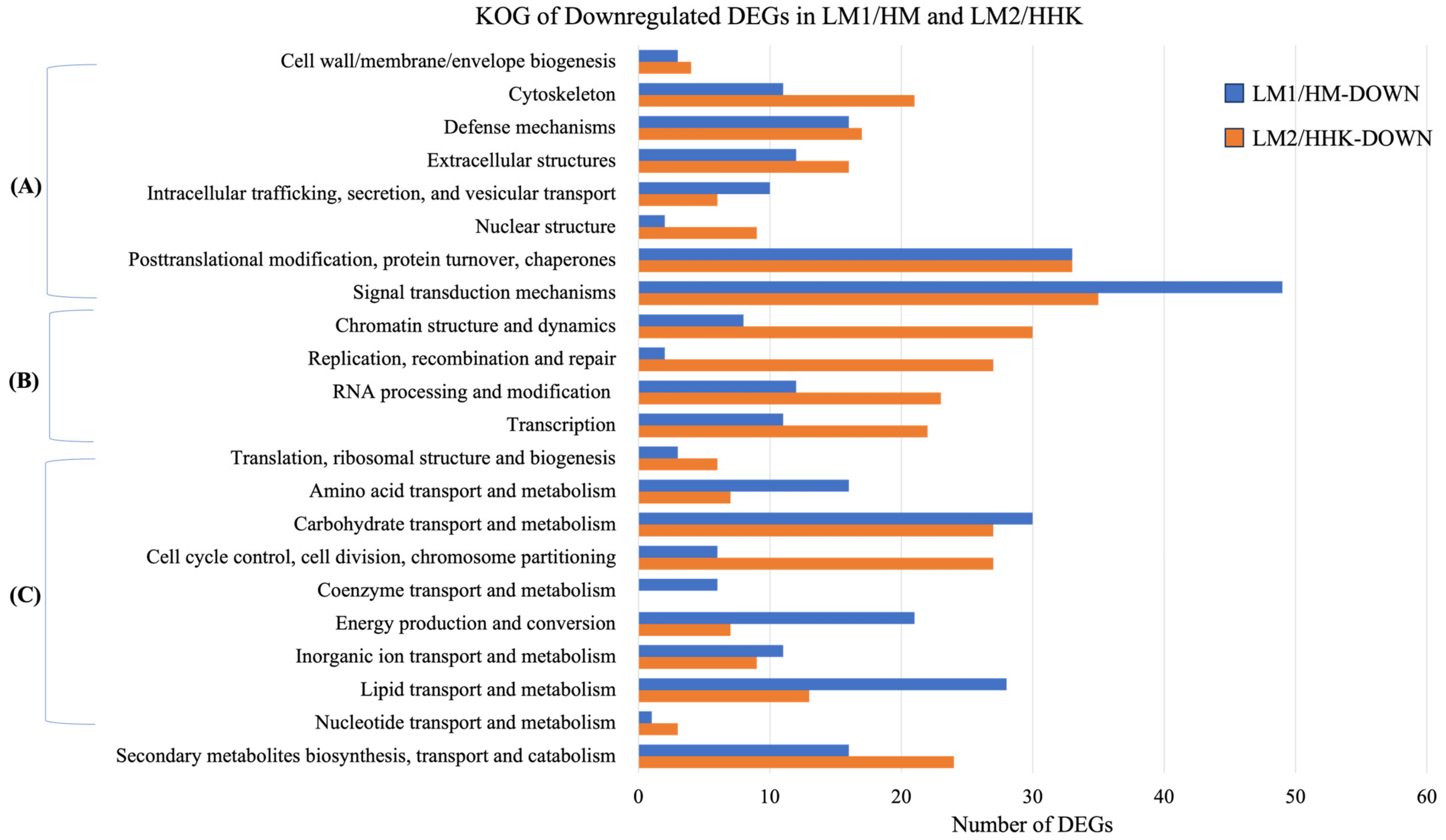 Jof 10 00140 g007 Jof 10 00140 g007