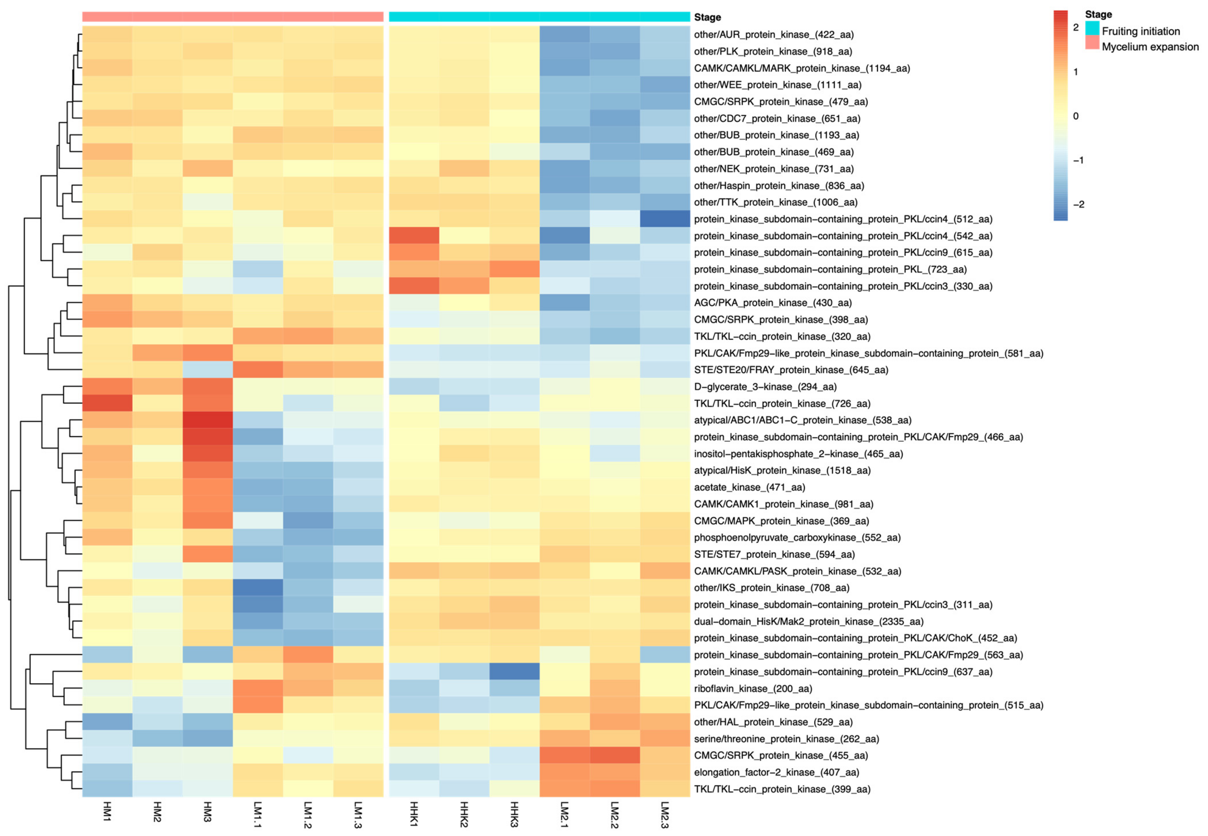 Jof 10 00140 g008 Jof 10 00140 g008
