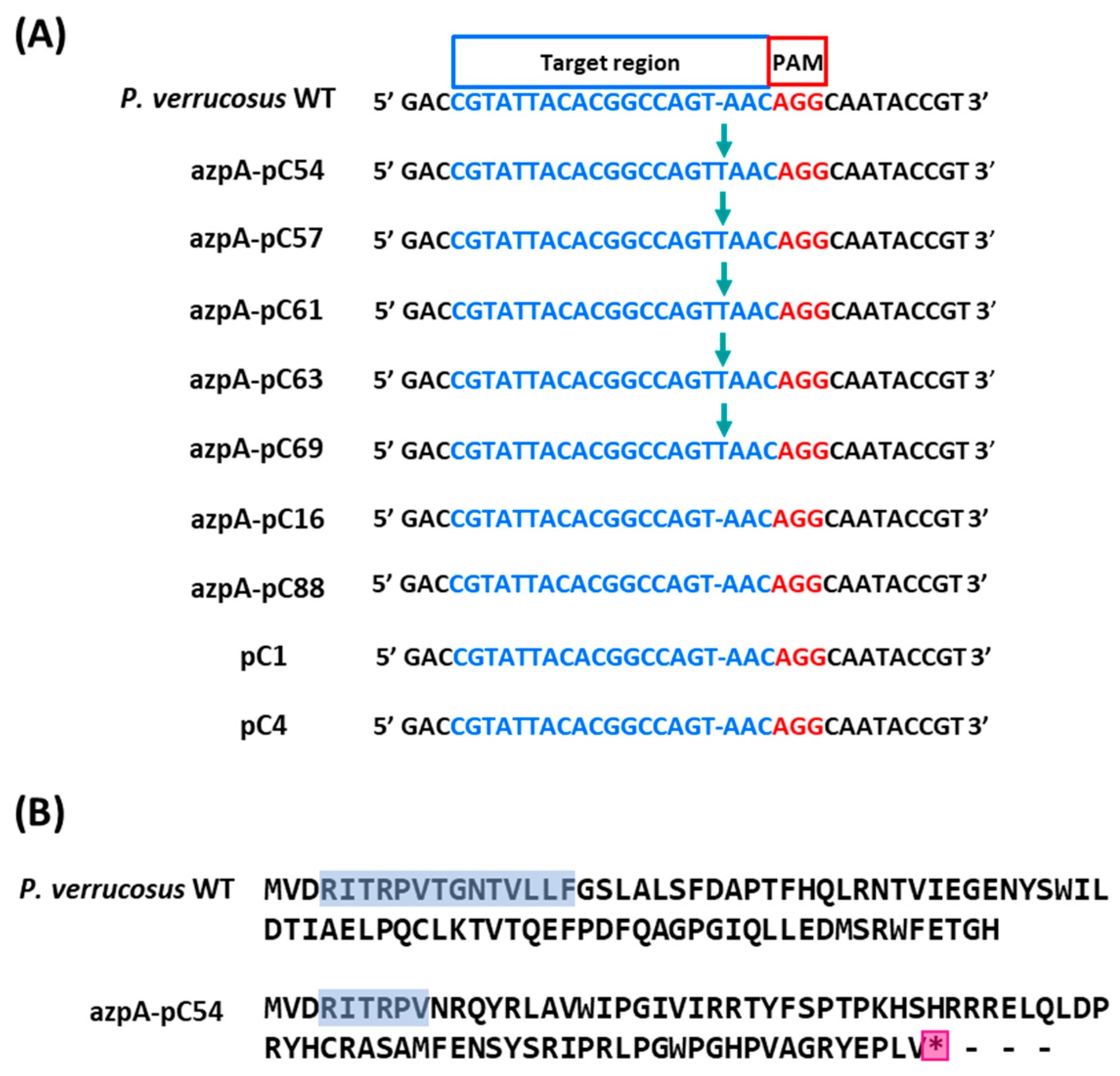 JoF | Free Full-Text | Expanding the Toolbox for Genetic Manipulation ...