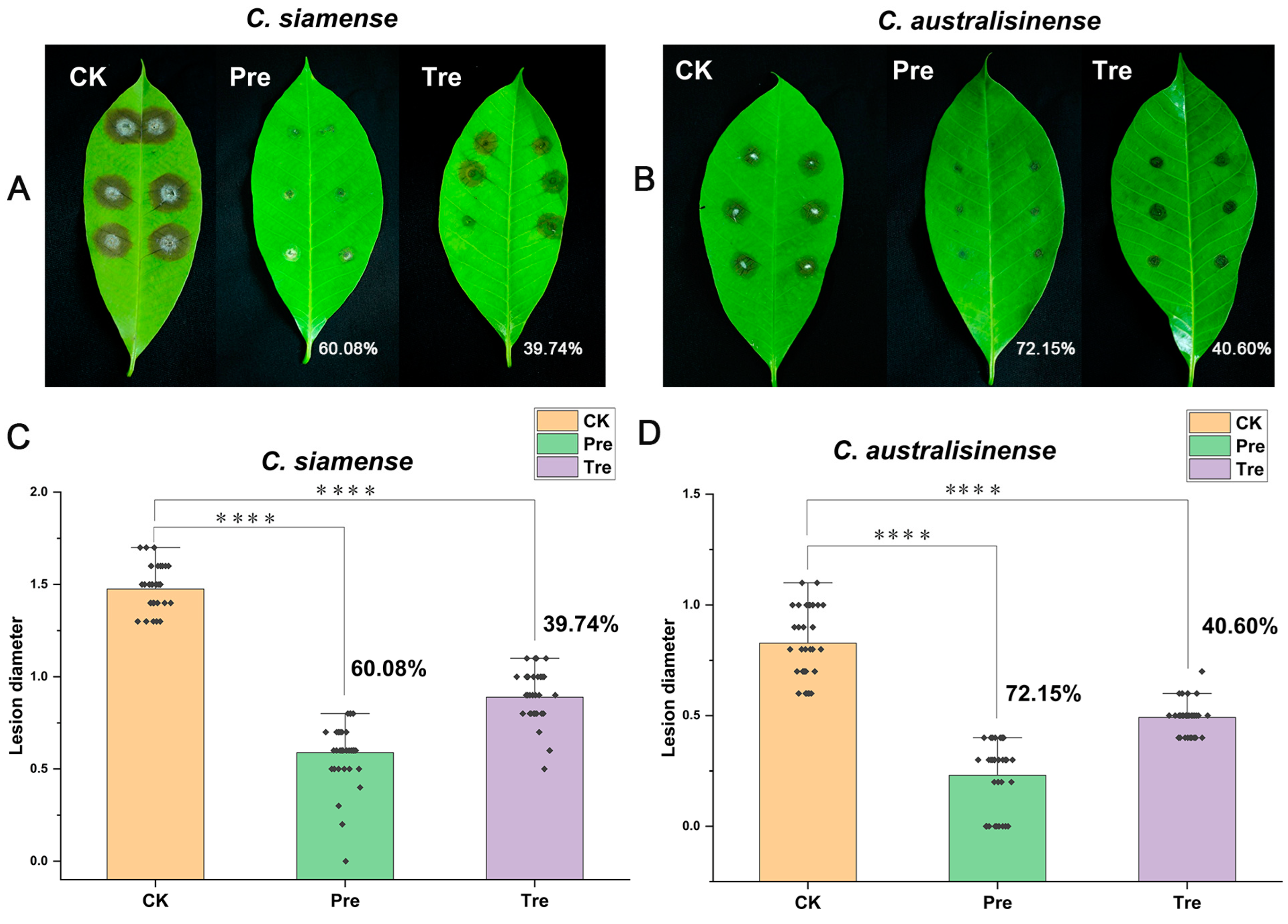 Jof 10 00158 g002 Jof 10 00158 g002