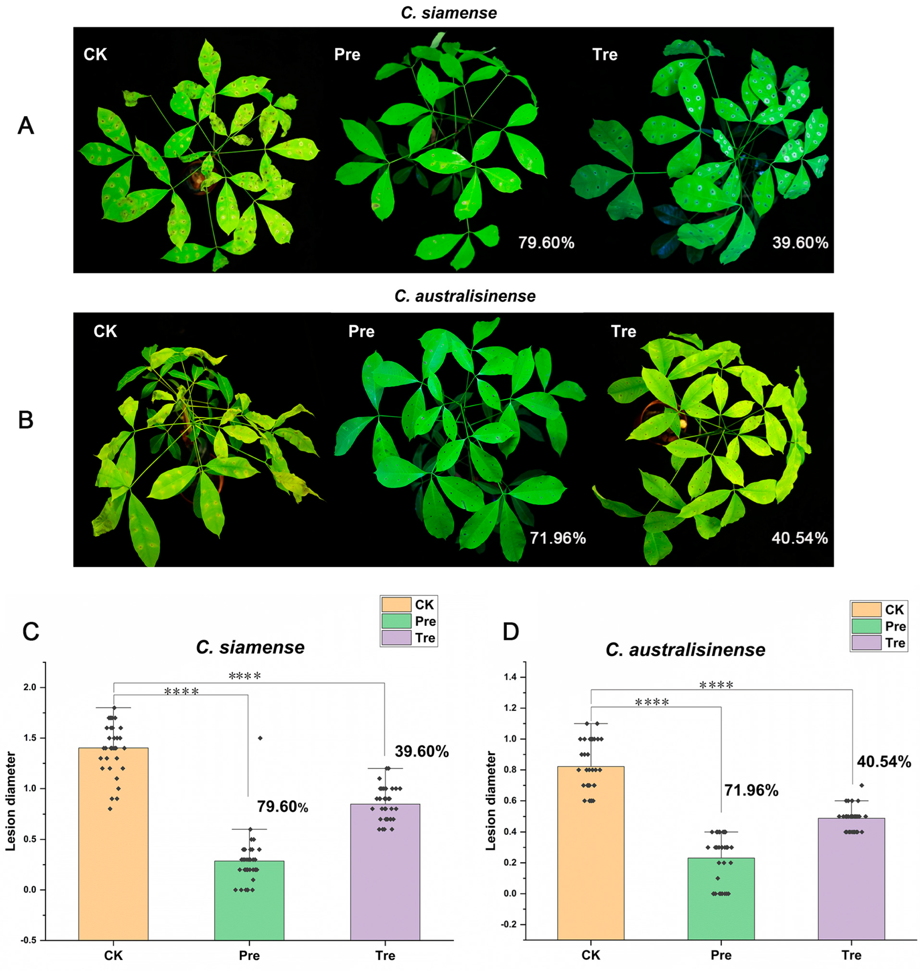 Jof 10 00158 g003 Jof 10 00158 g003