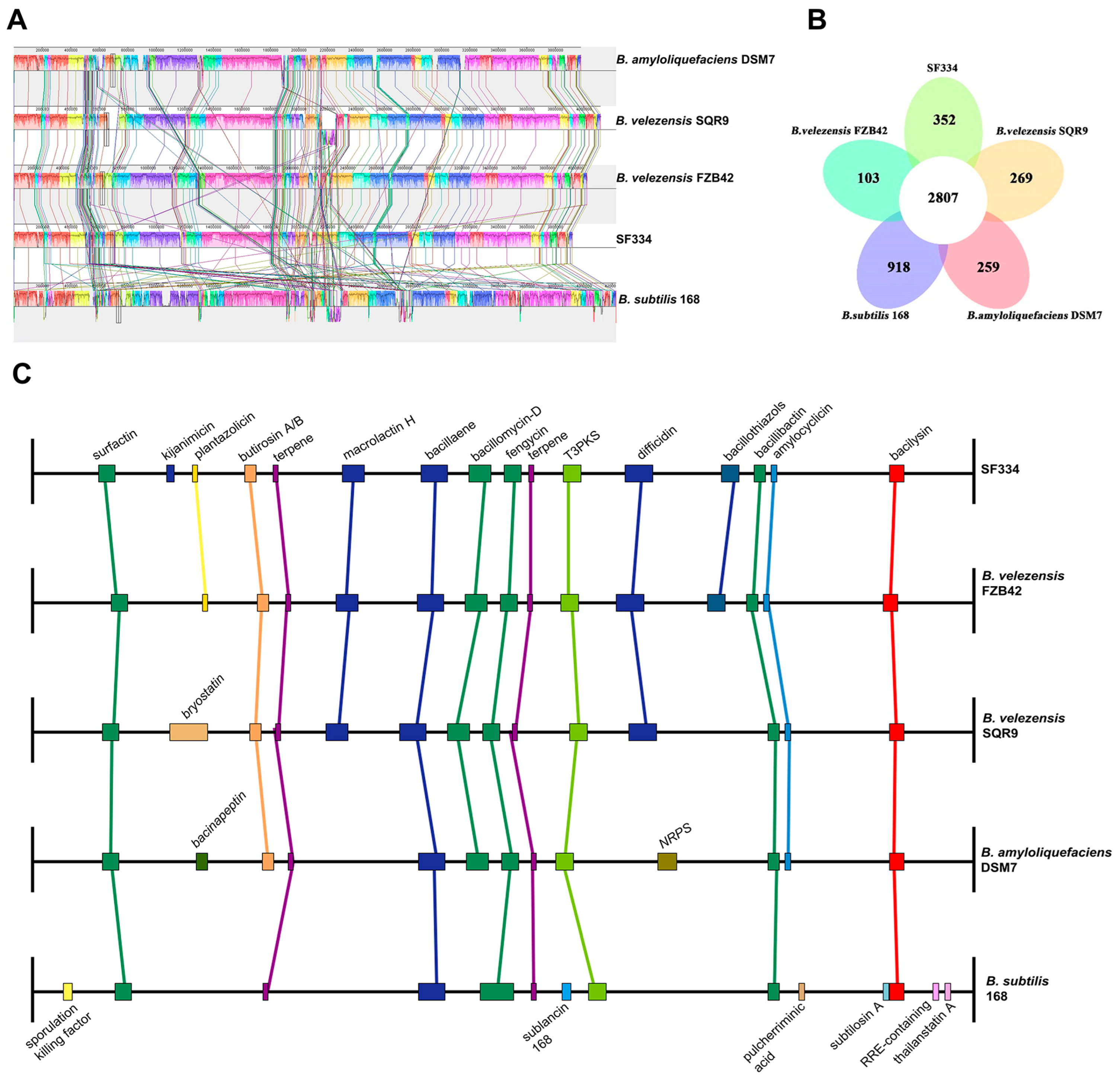 Jof 10 00158 g009 Jof 10 00158 g009