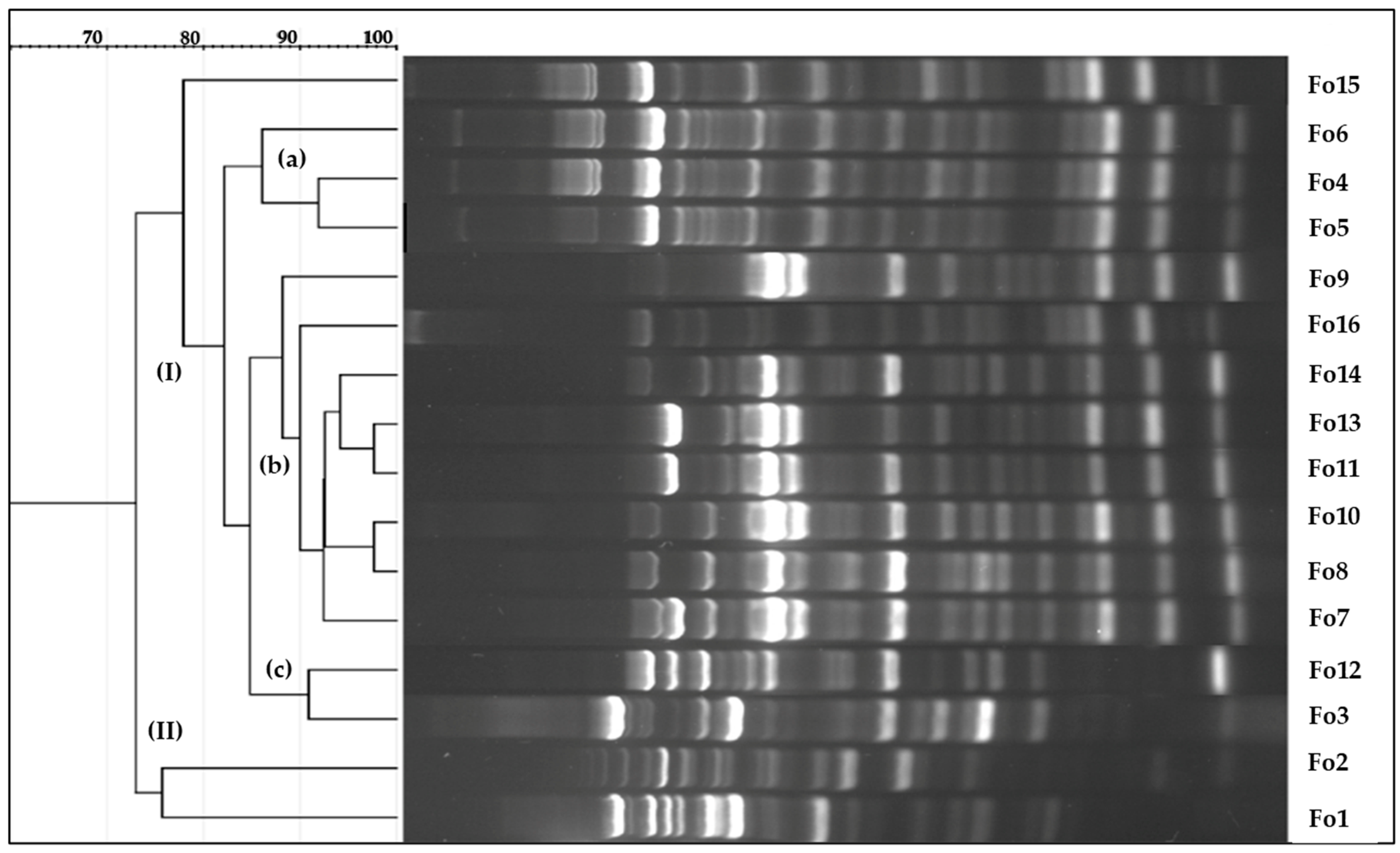 Jof 10 00161 g003 Jof 10 00161 g003