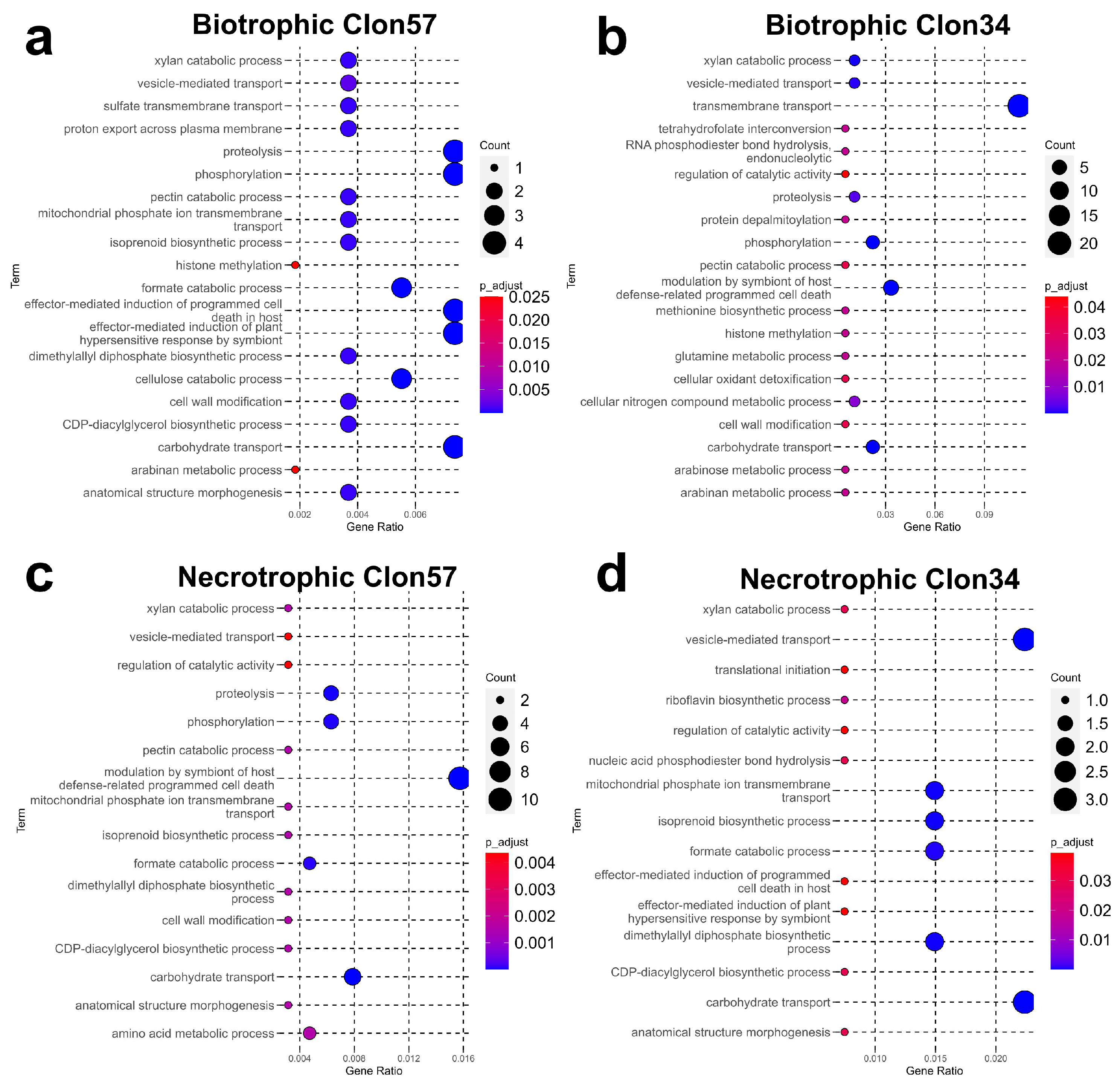 Jof 10 00164 g003 Jof 10 00164 g003