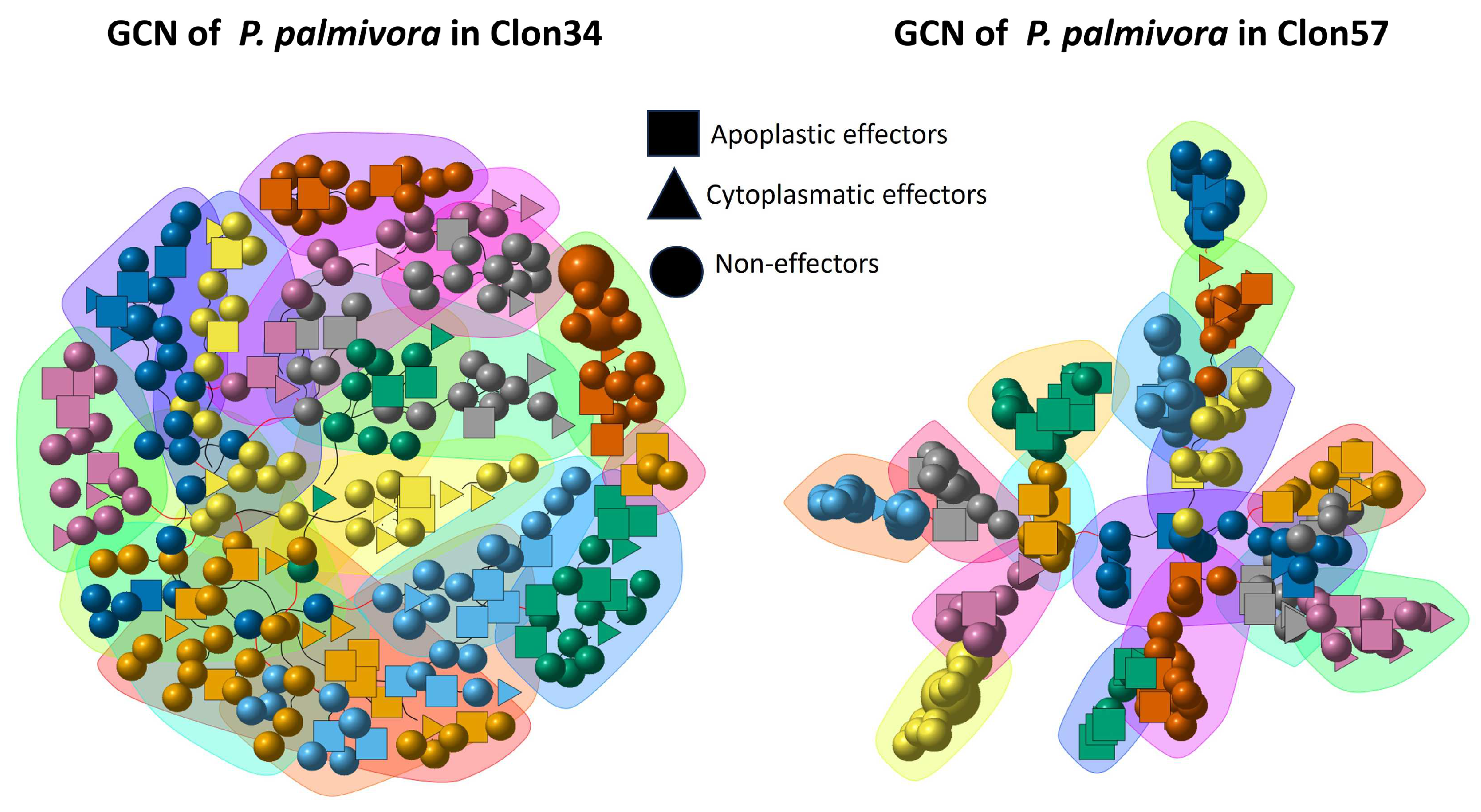 Jof 10 00164 g004 Jof 10 00164 g004