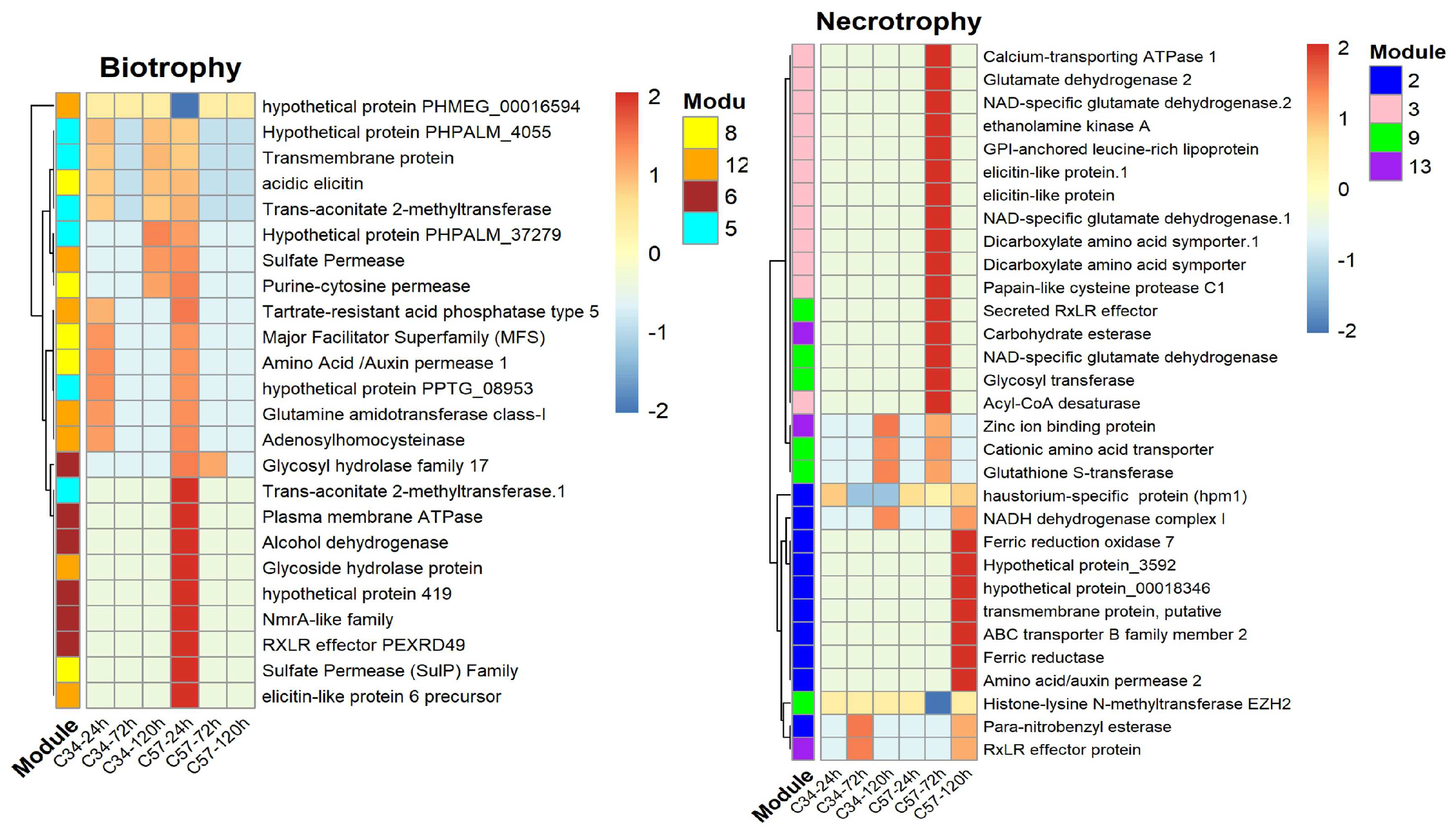 Jof 10 00164 g005 Jof 10 00164 g005
