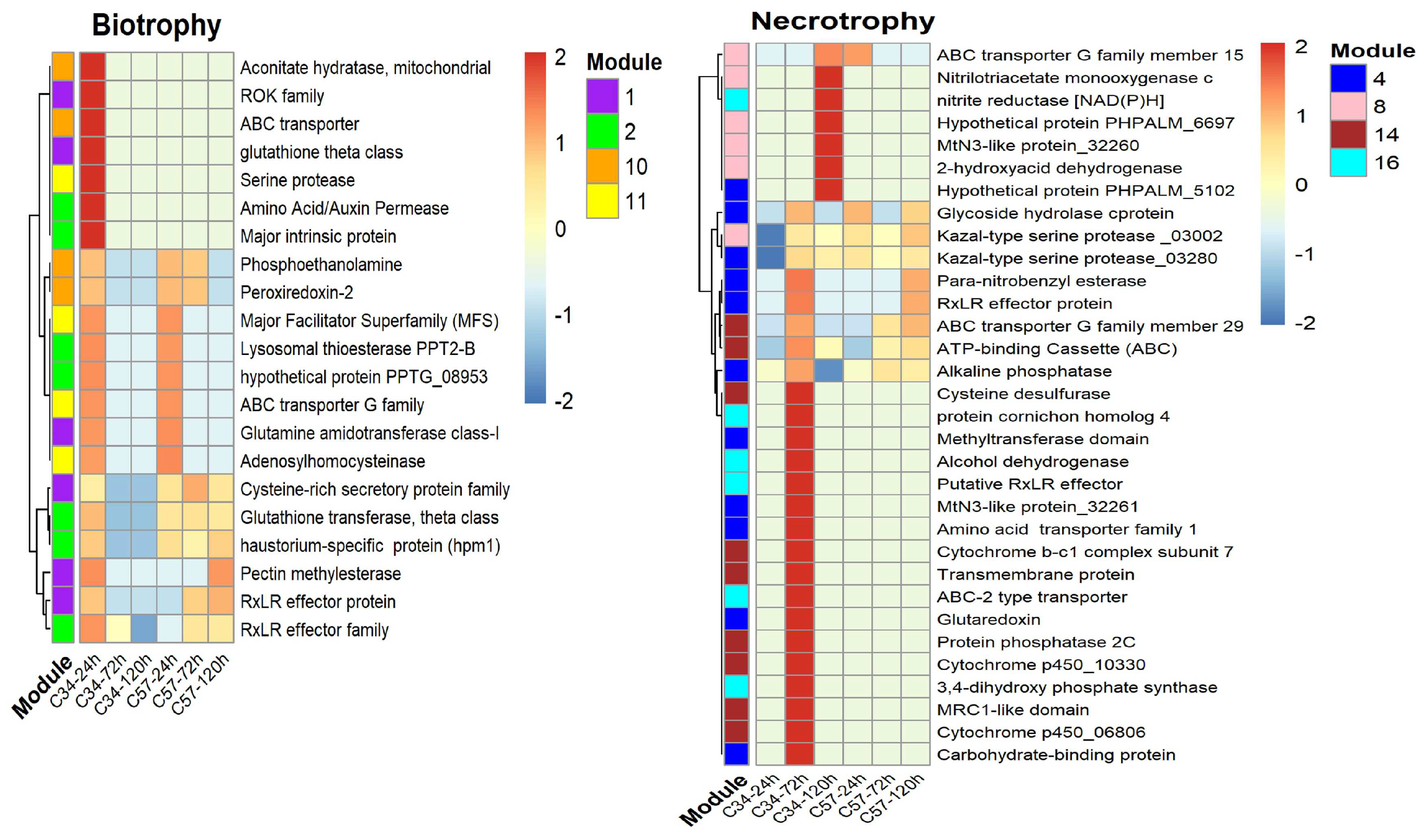 Jof 10 00164 g006 Jof 10 00164 g006