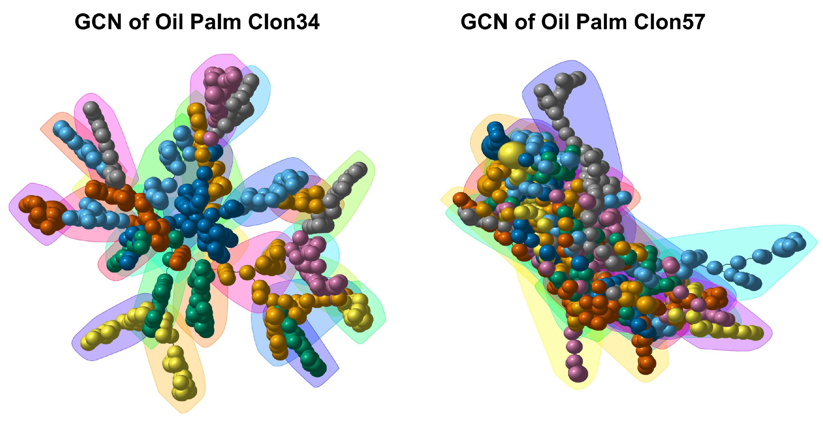 Jof 10 00164 g007 Jof 10 00164 g007