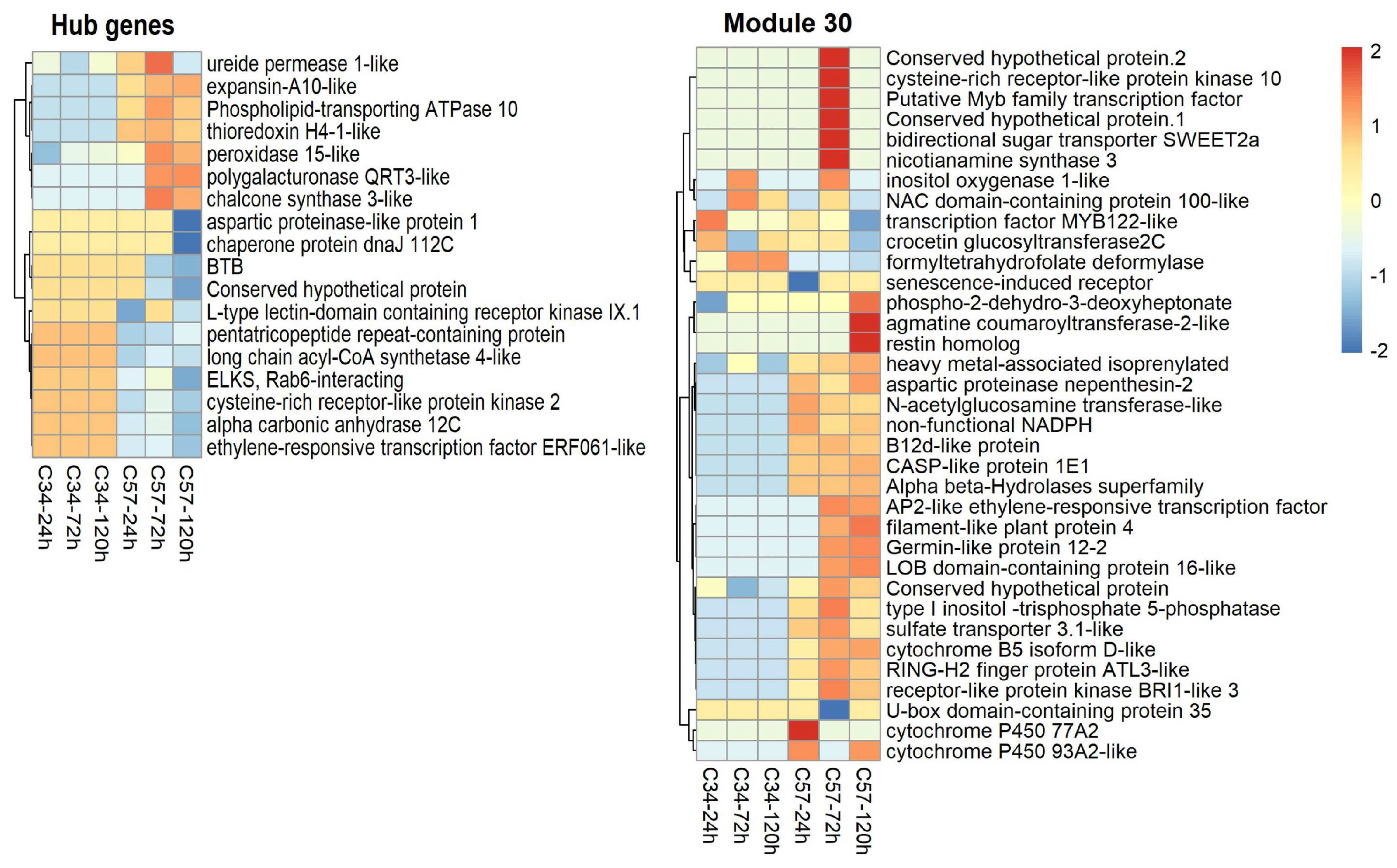 Jof 10 00164 g010 Jof 10 00164 g010