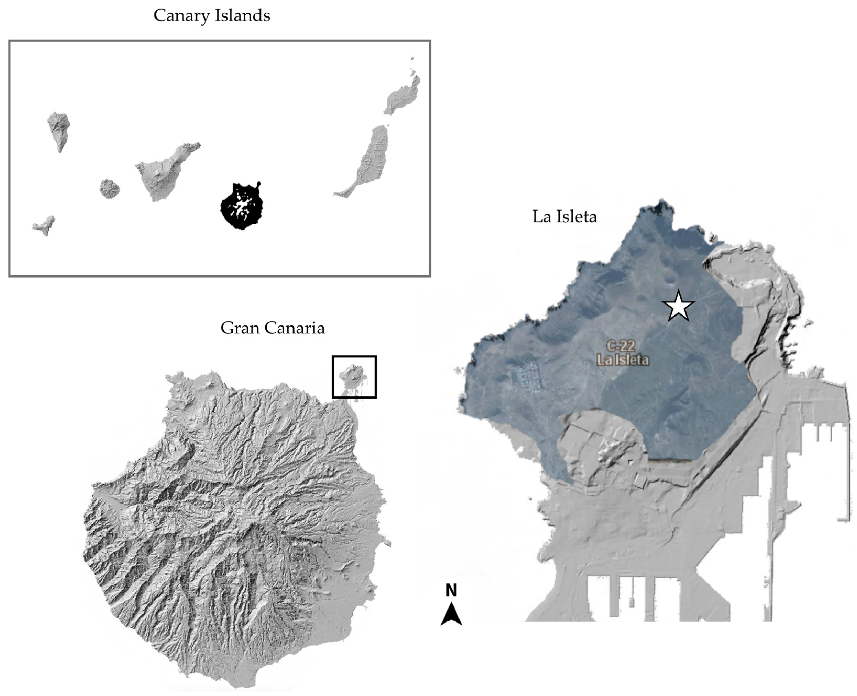 Jof 10 00166 g005 Jof 10 00166 g005