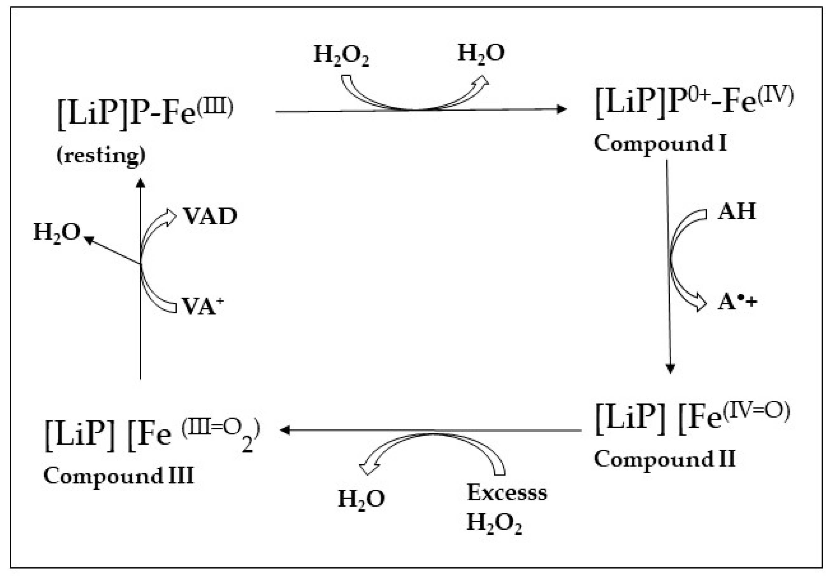 Jof 10 00167 g003 Jof 10 00167 g003