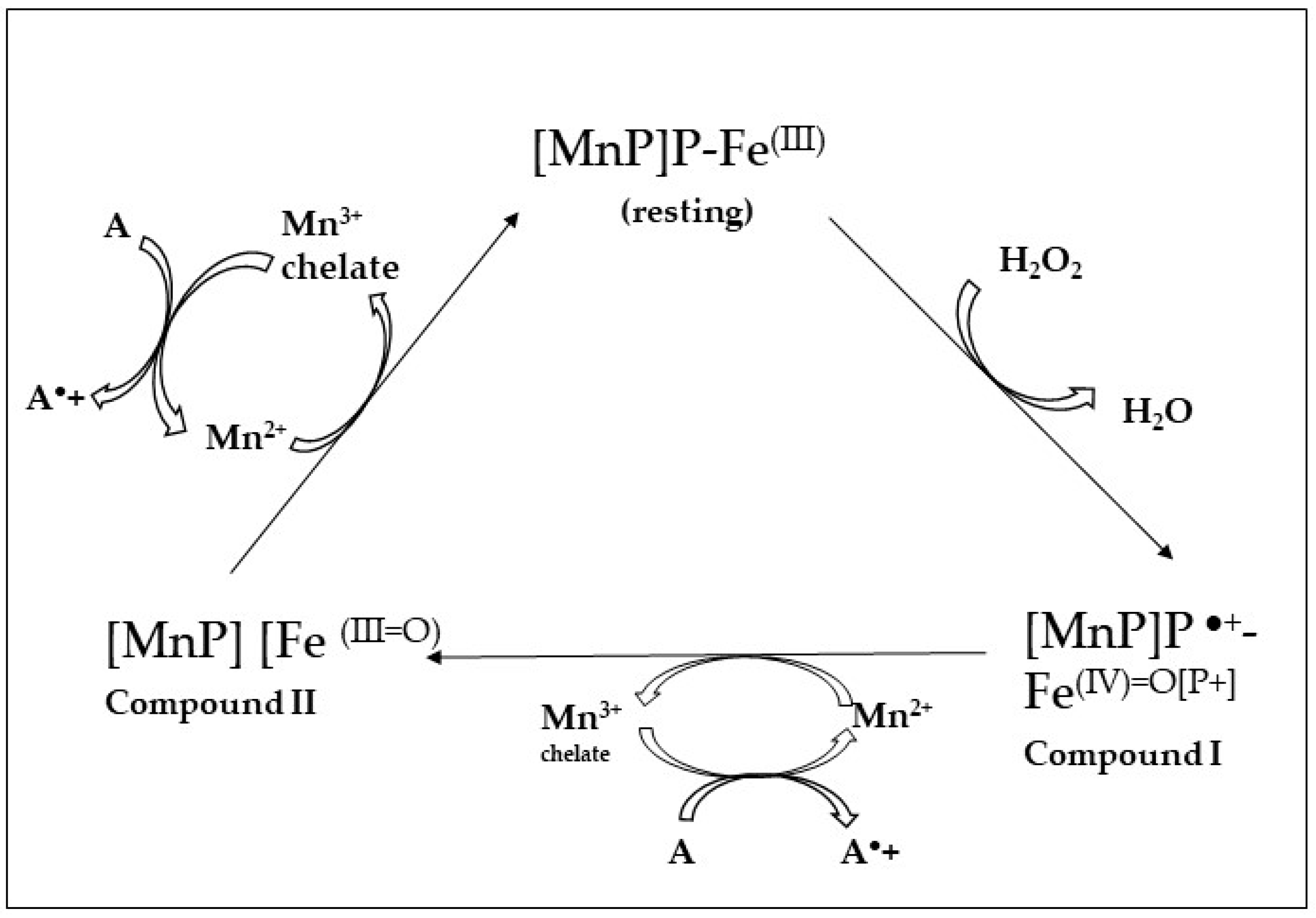 Jof 10 00167 g004 Jof 10 00167 g004