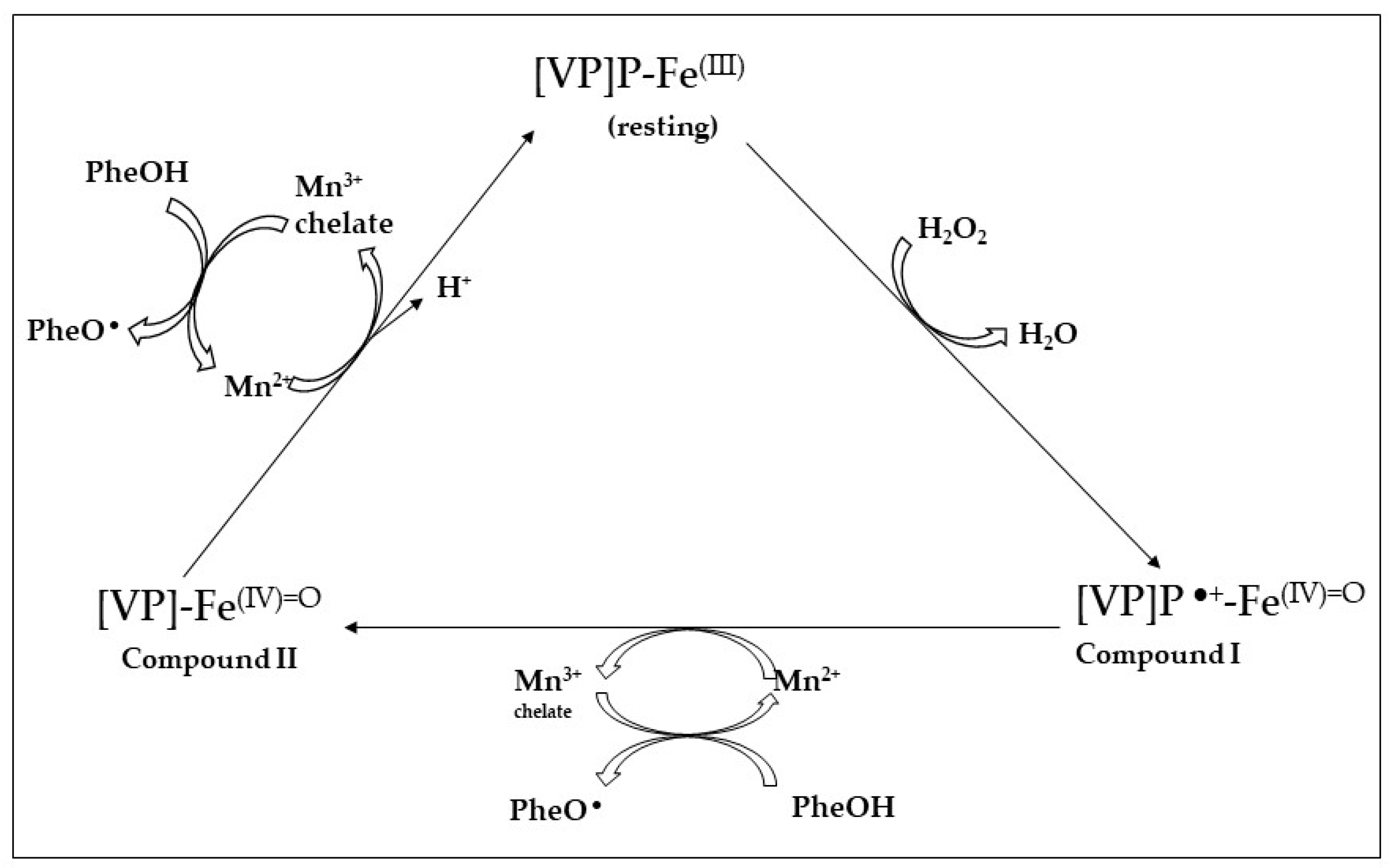 Jof 10 00167 g005 Jof 10 00167 g005