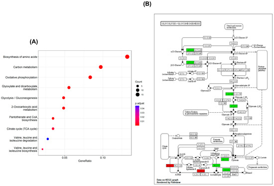 その他 nano collect Exploring Mechanisms of Antifungal Lipopeptide Iturin A from