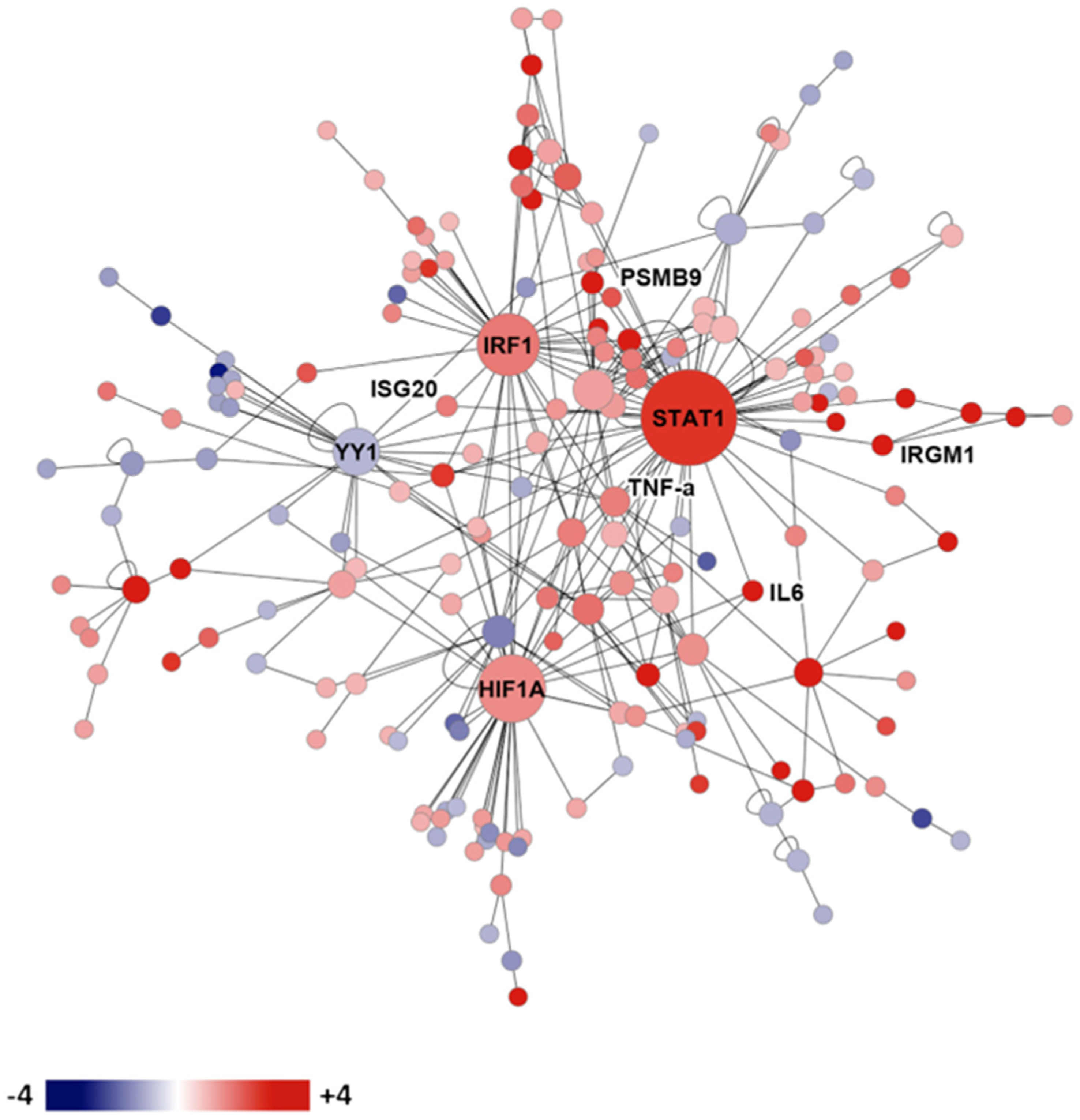 Jof 10 00173 g002 Jof 10 00173 g002
