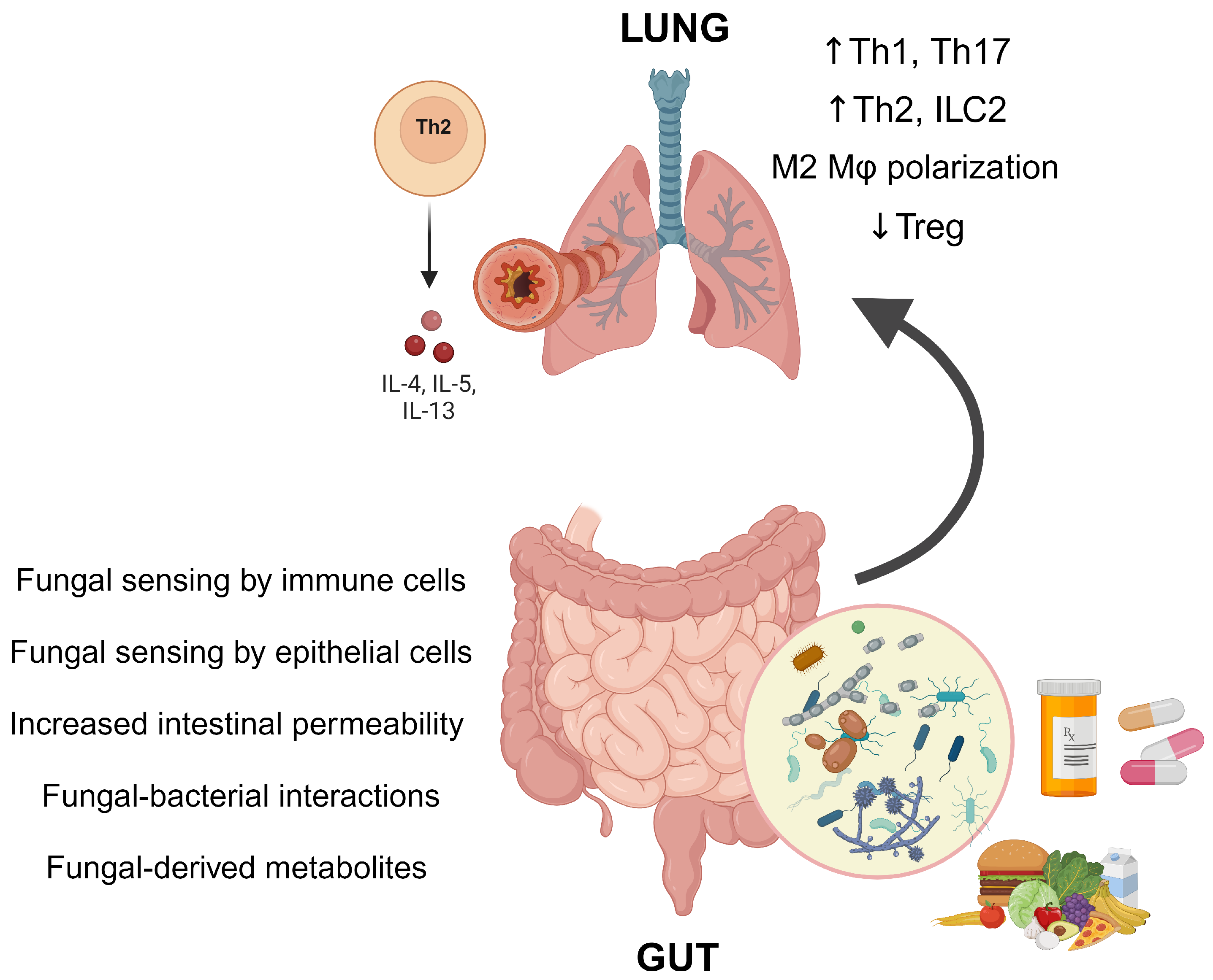 Jof 10 00192 g002 Jof 10 00192 g002
