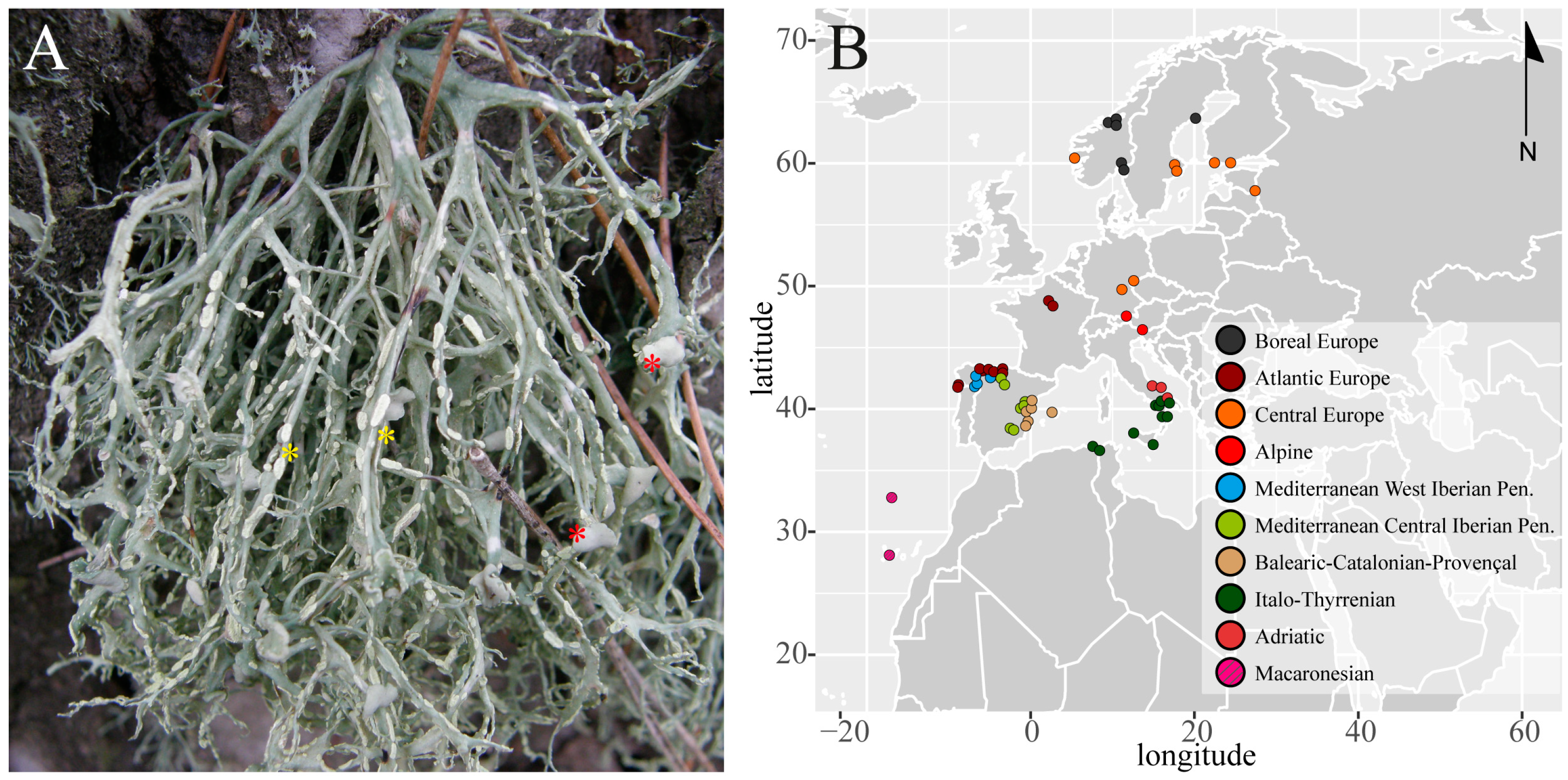 Jof 10 00206 g001 Jof 10 00206 g001