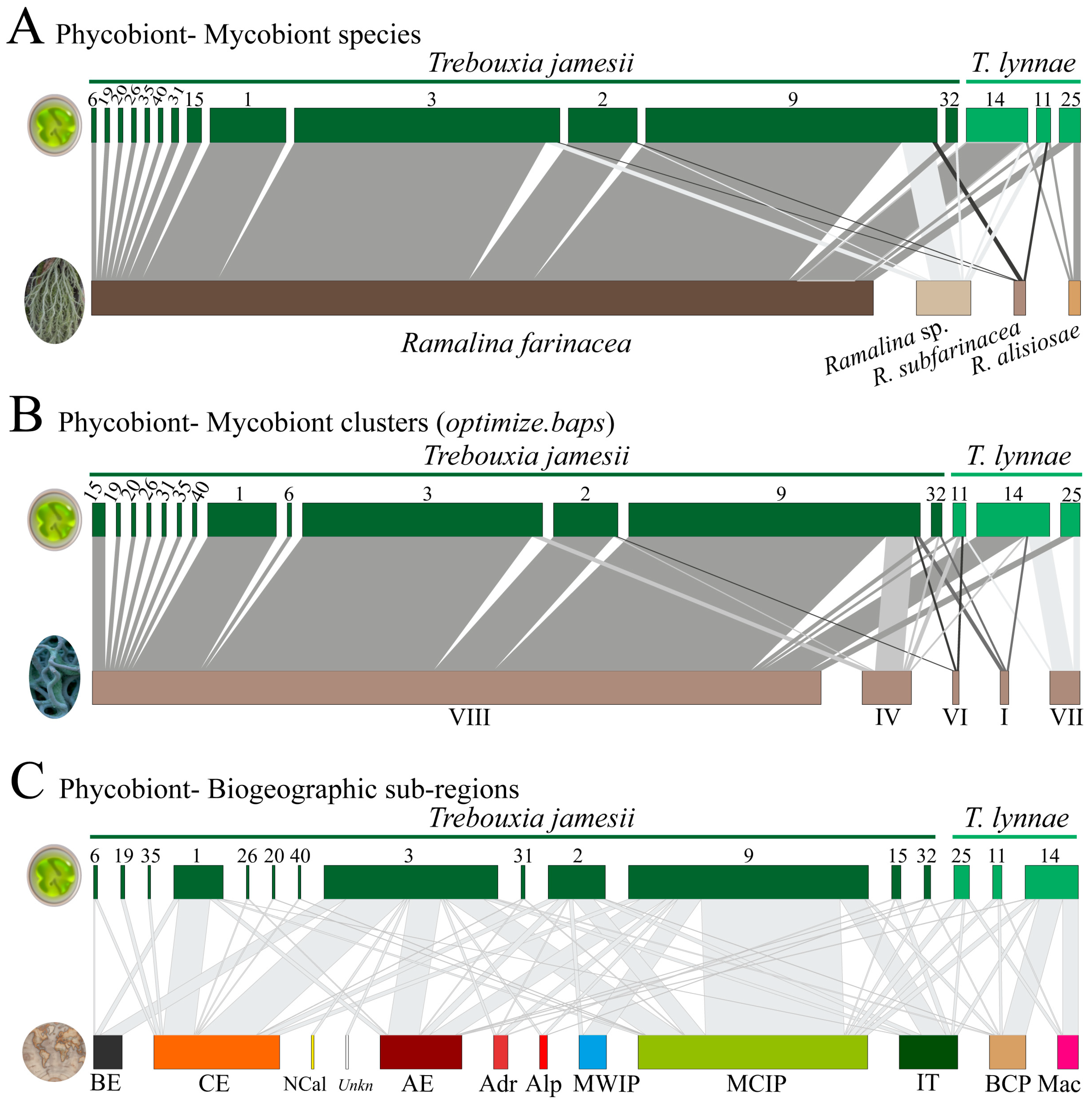 Jof 10 00206 g003 Jof 10 00206 g003