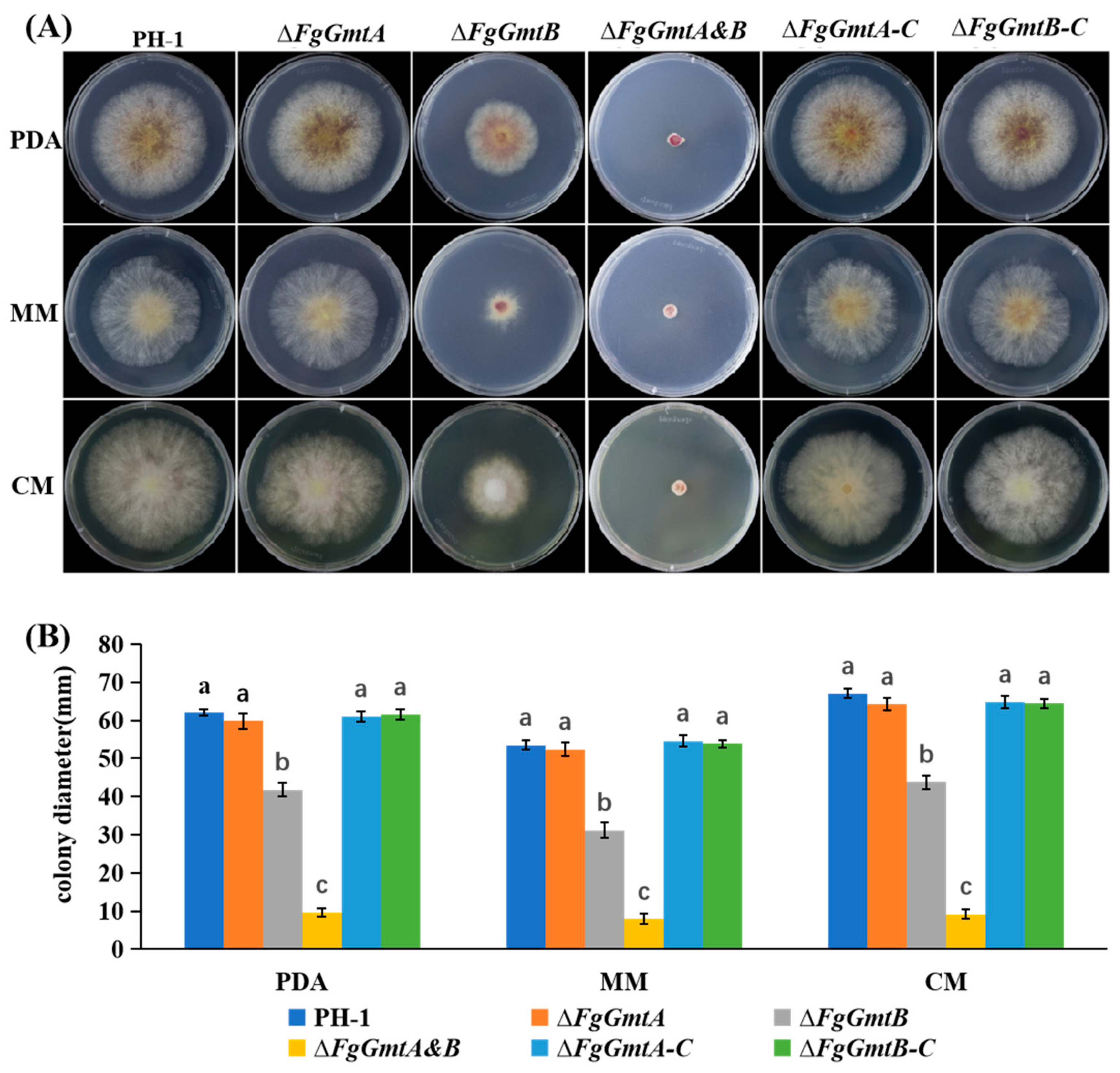 Jof 10 00208 g003 Jof 10 00208 g003