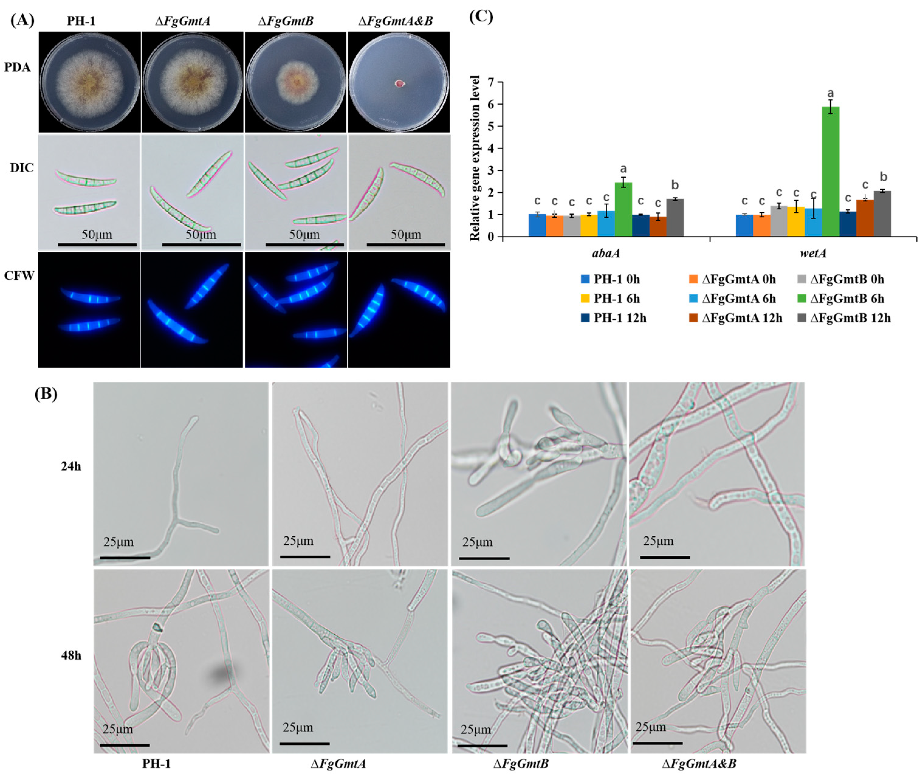 Jof 10 00208 g004 Jof 10 00208 g004