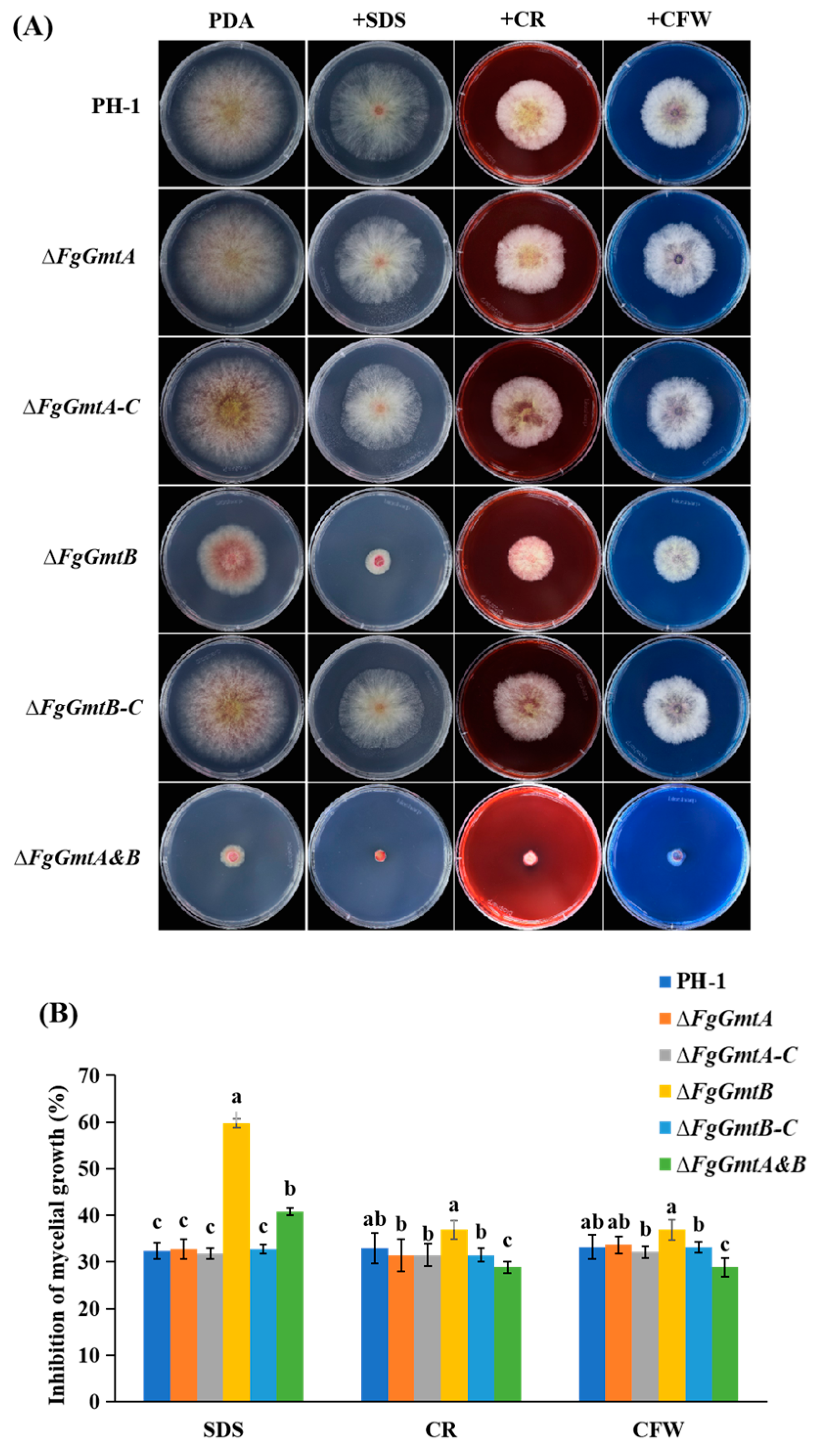 Jof 10 00208 g008 Jof 10 00208 g008
