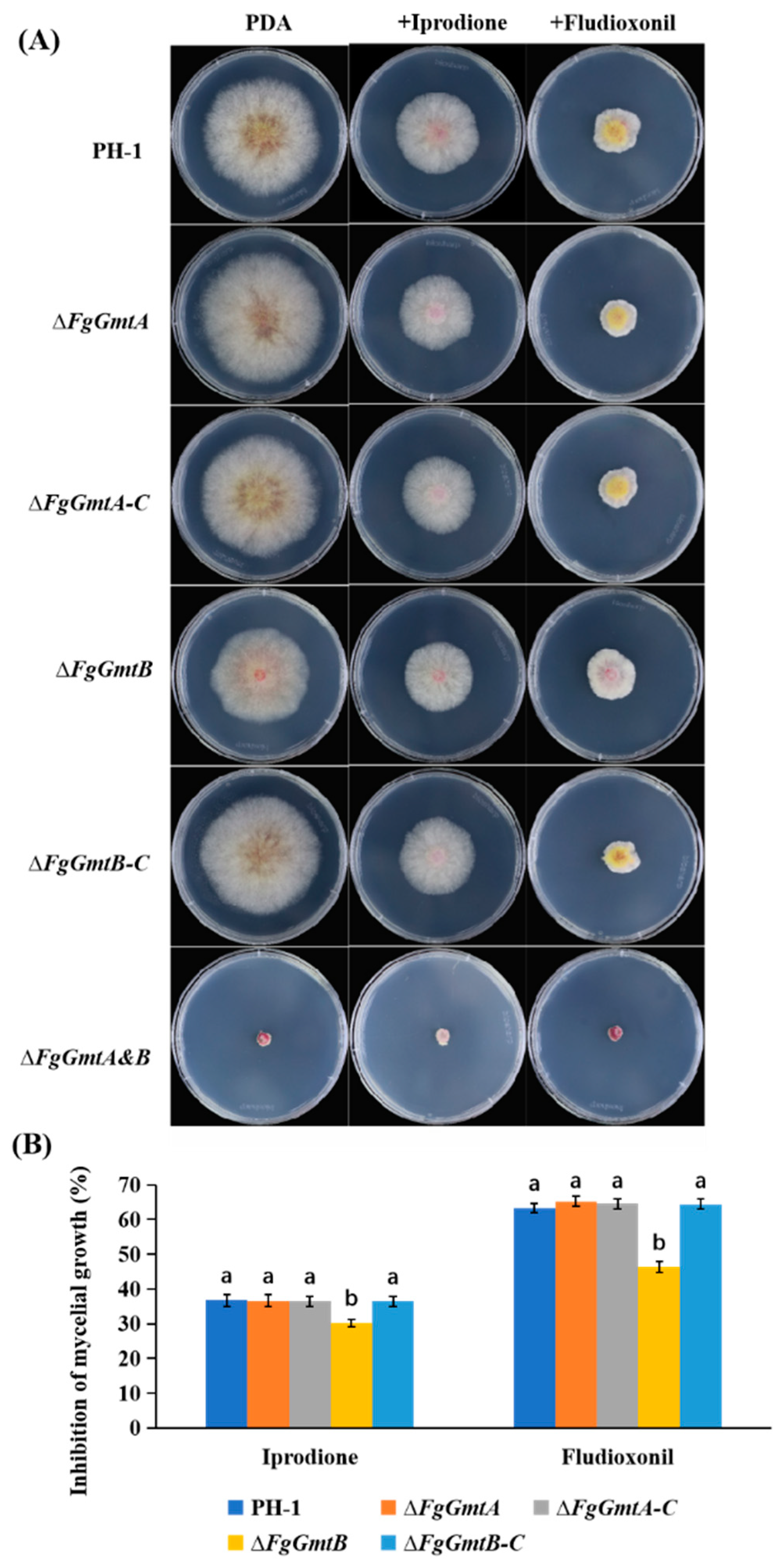 Jof 10 00208 g009 Jof 10 00208 g009