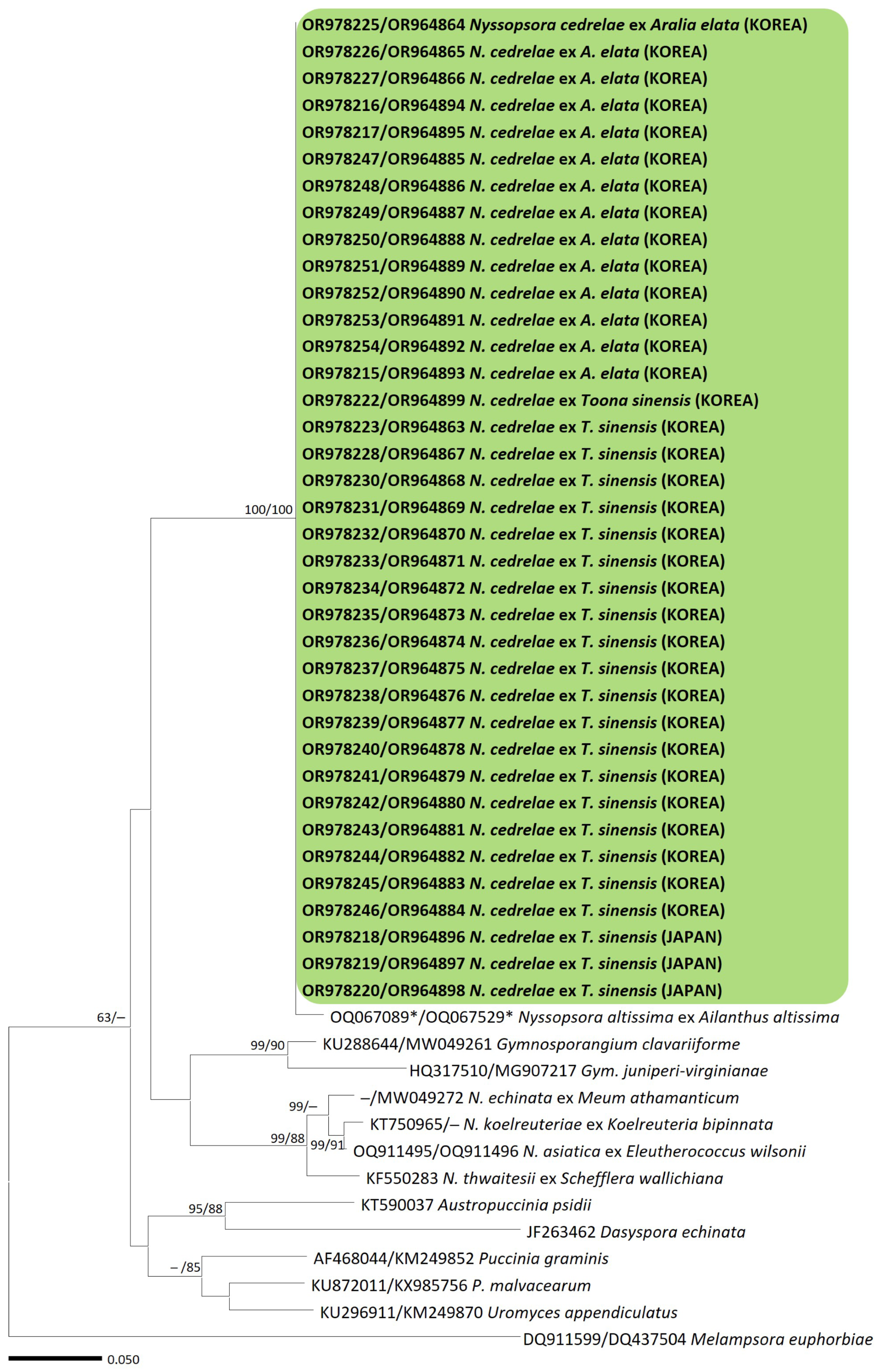 Jof 10 00239 g001 Jof 10 00239 g001