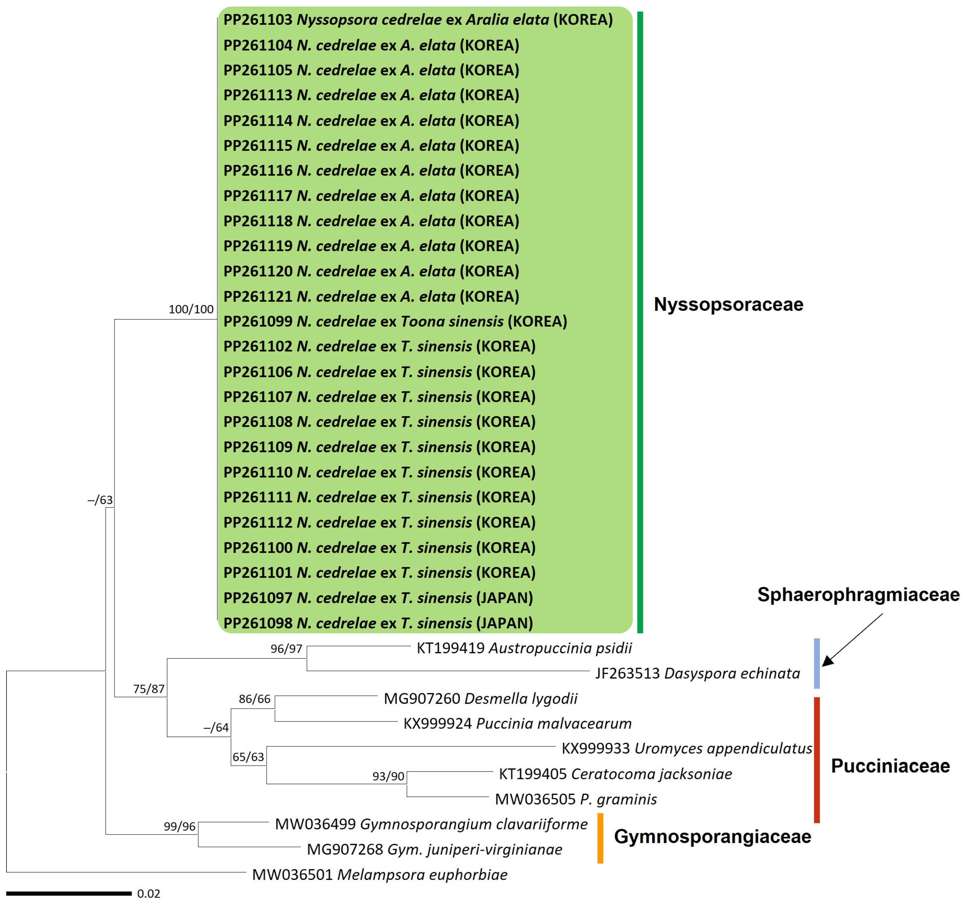 Jof 10 00239 g002 Jof 10 00239 g002