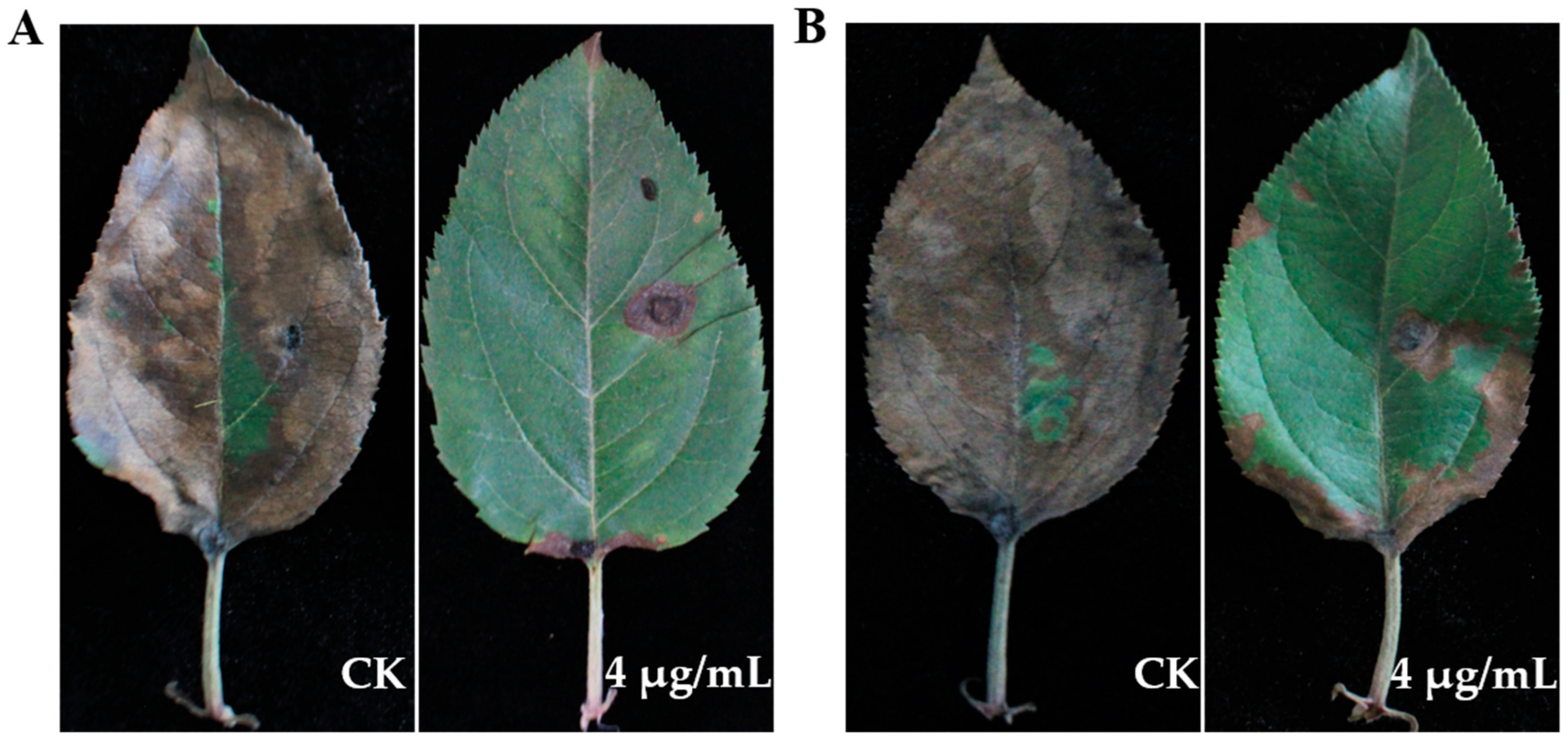 Jof 10 00255 g007 Jof 10 00255 g007
