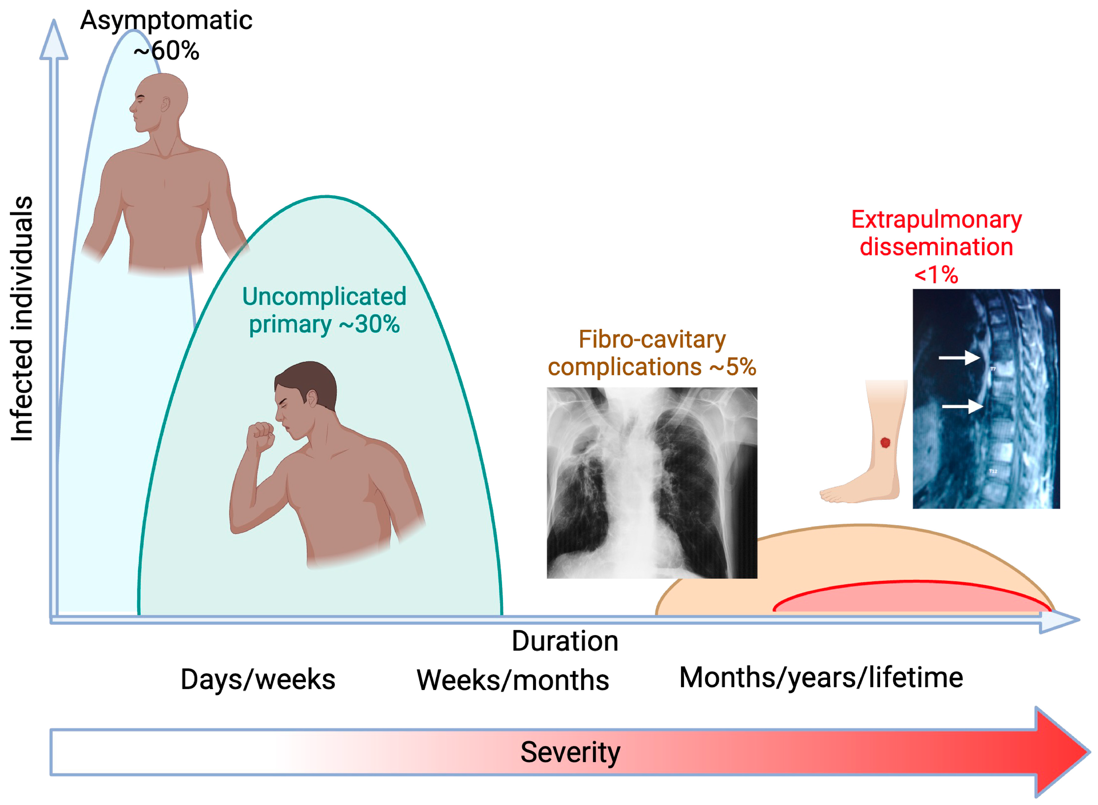 Jof 10 00256 g002 Jof 10 00256 g002