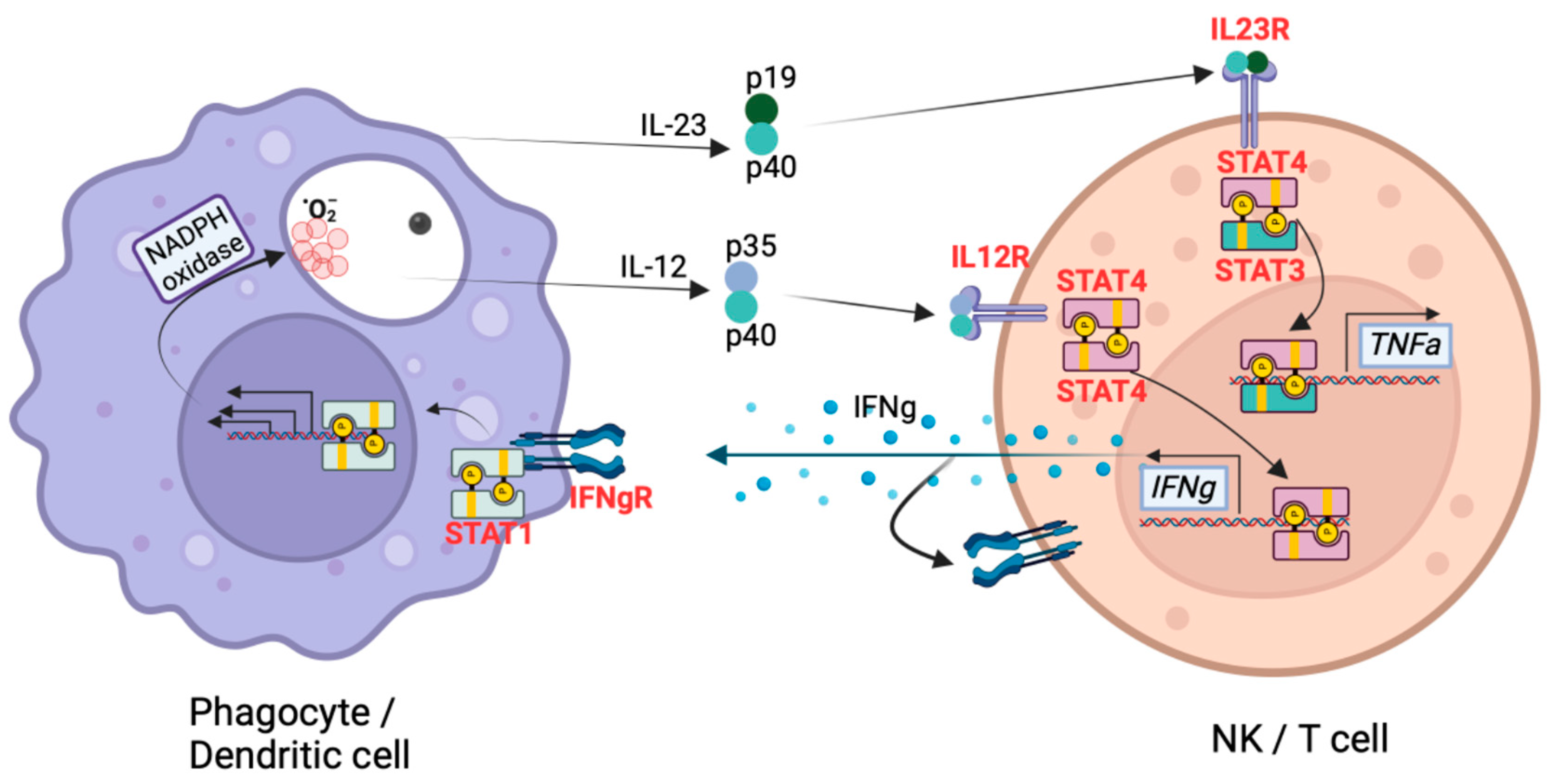 Jof 10 00256 g005 Jof 10 00256 g005