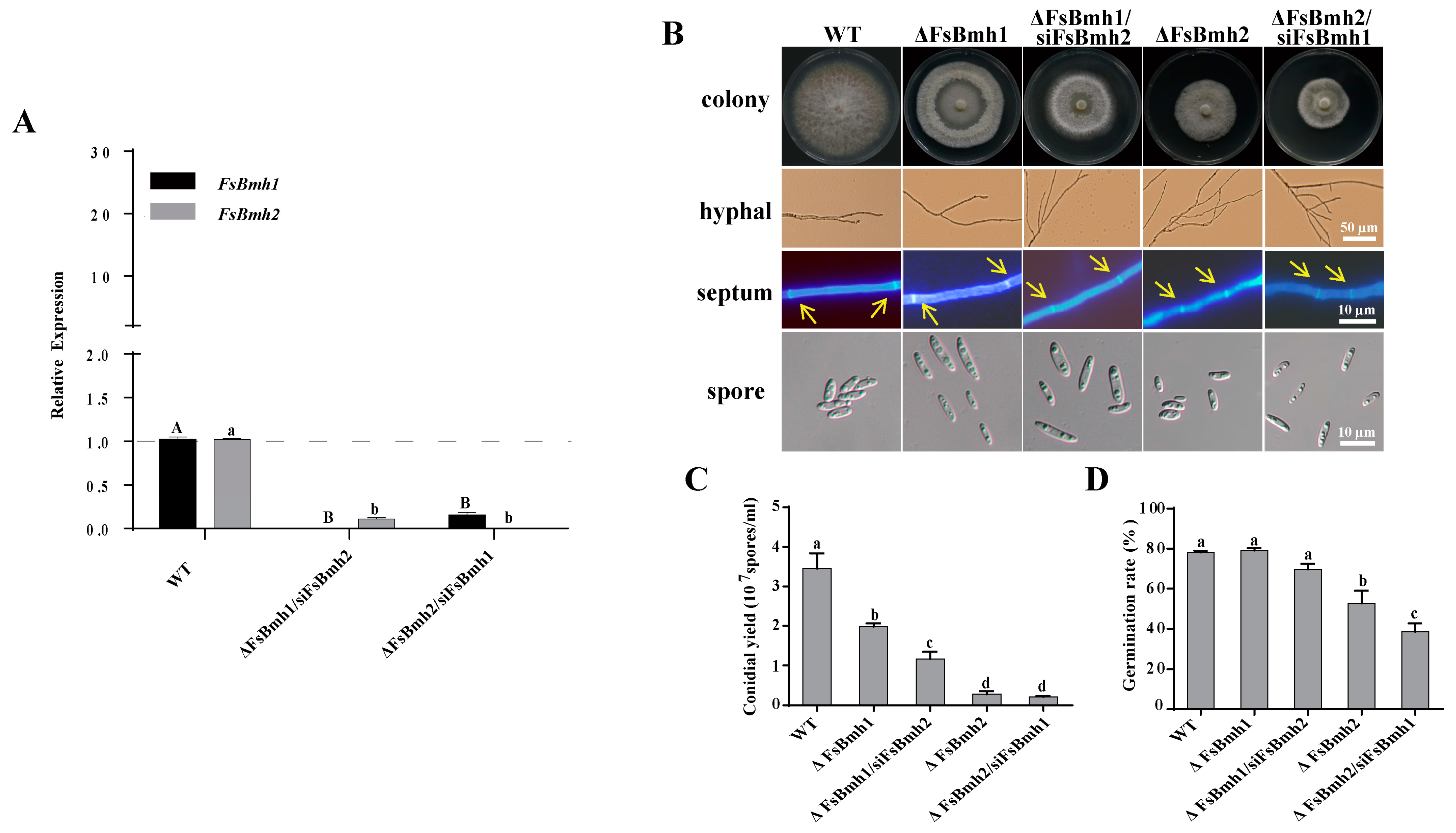 Jof 10 00257 g004 Jof 10 00257 g004
